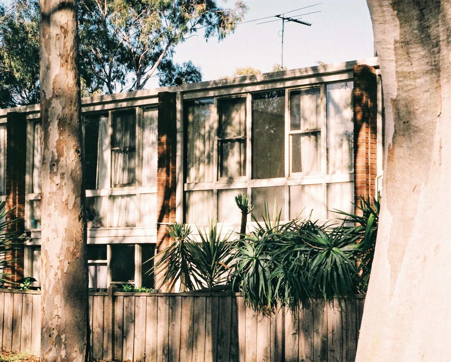 2019-11-28 06.25.48 4.jpg