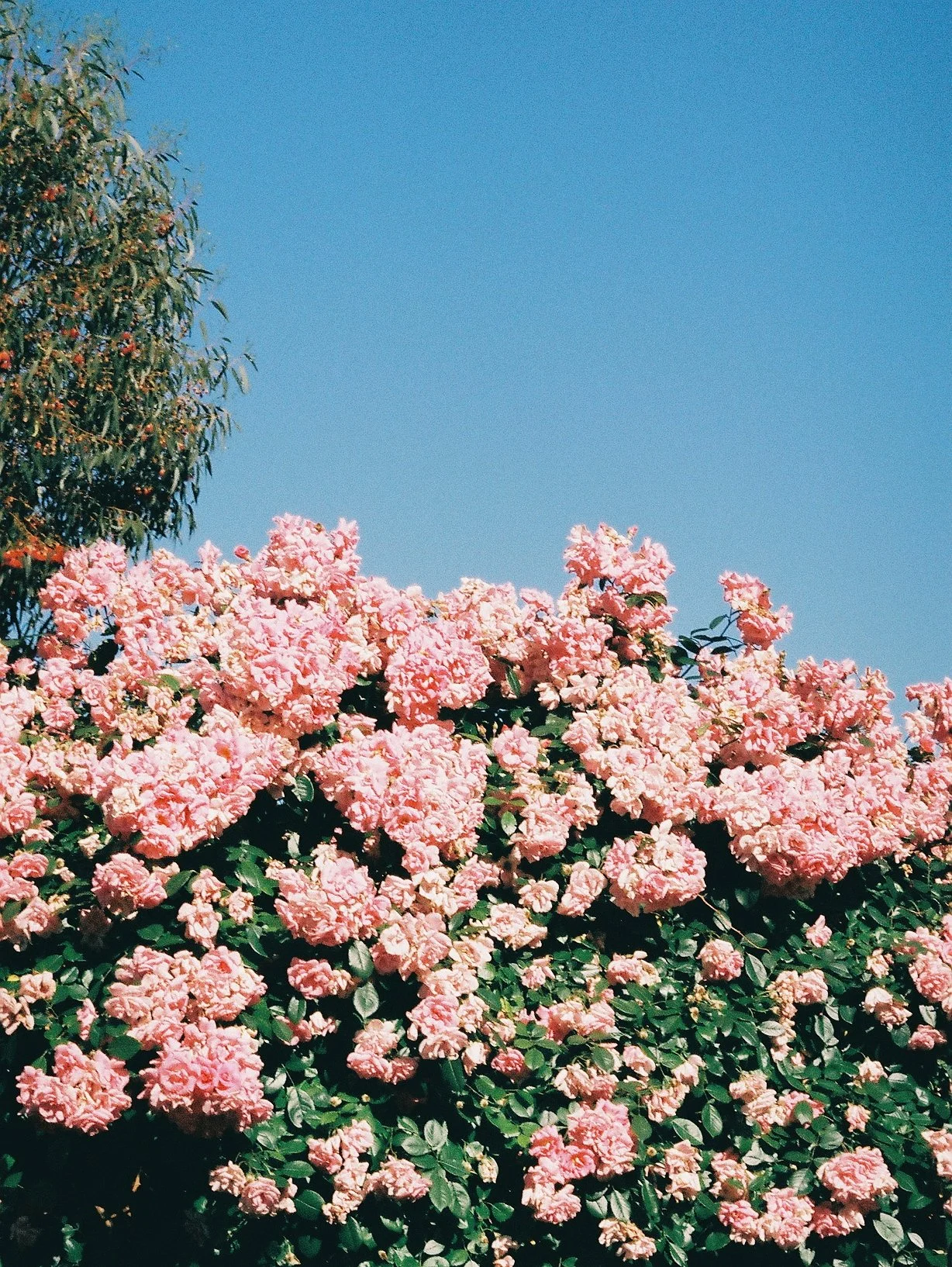 2019-11-28 06.06.16 1.jpg