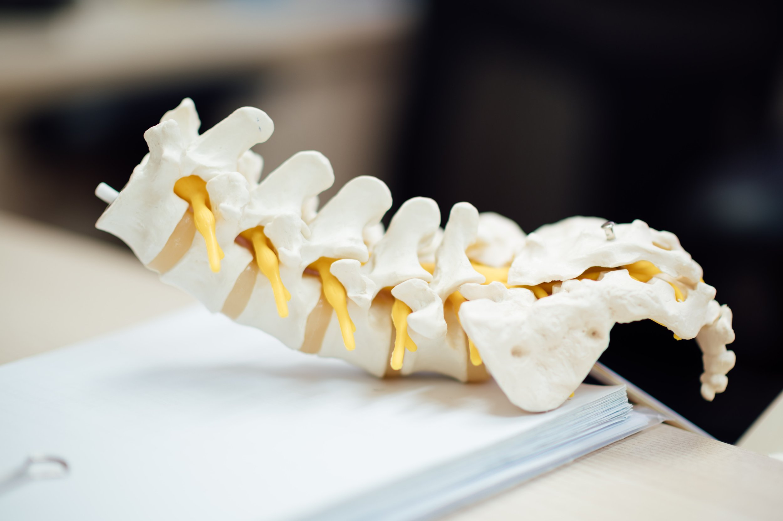 Spinal surgery - including discectomy, laminectomy, spinal fusions