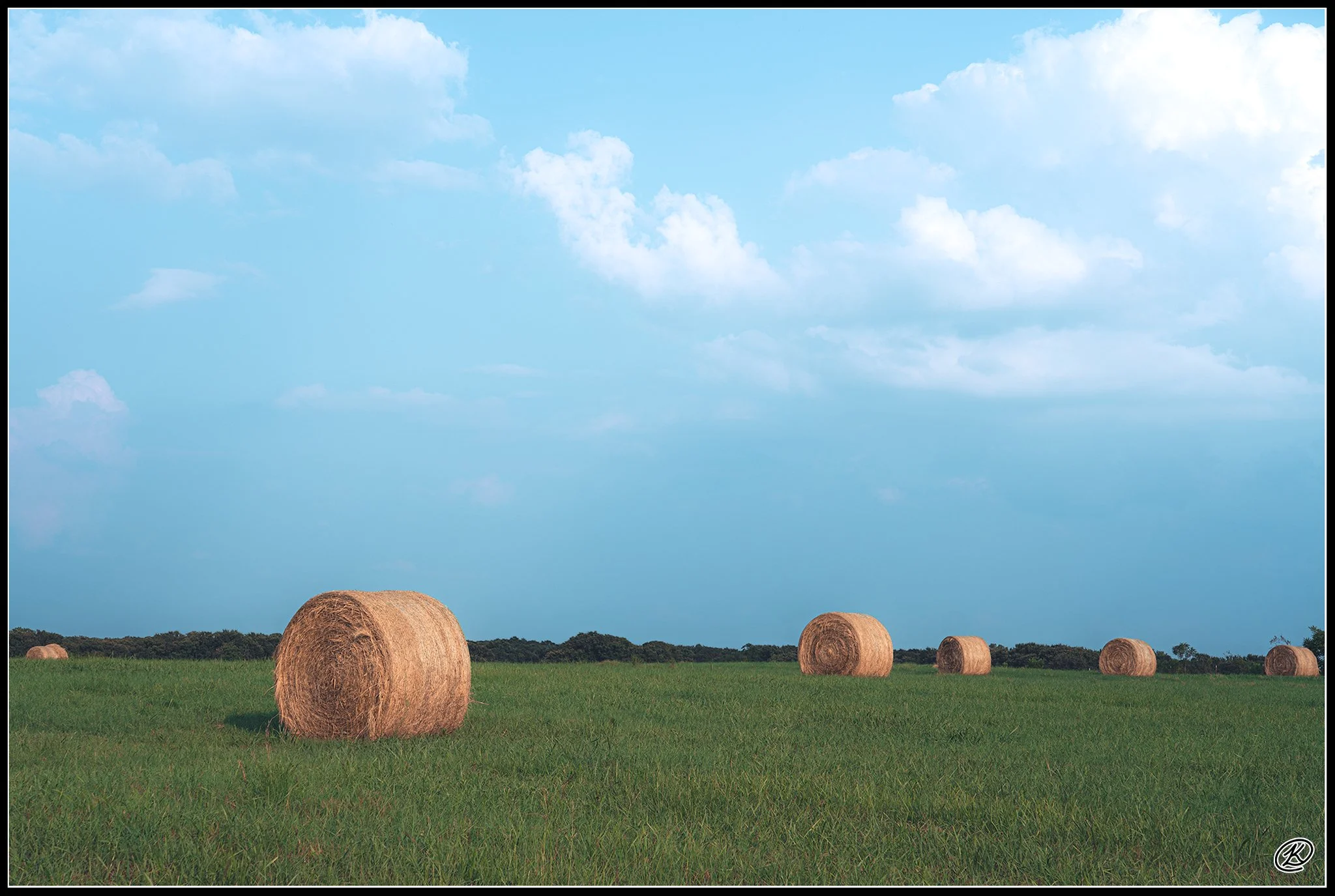 _KCD9793-1.jpg