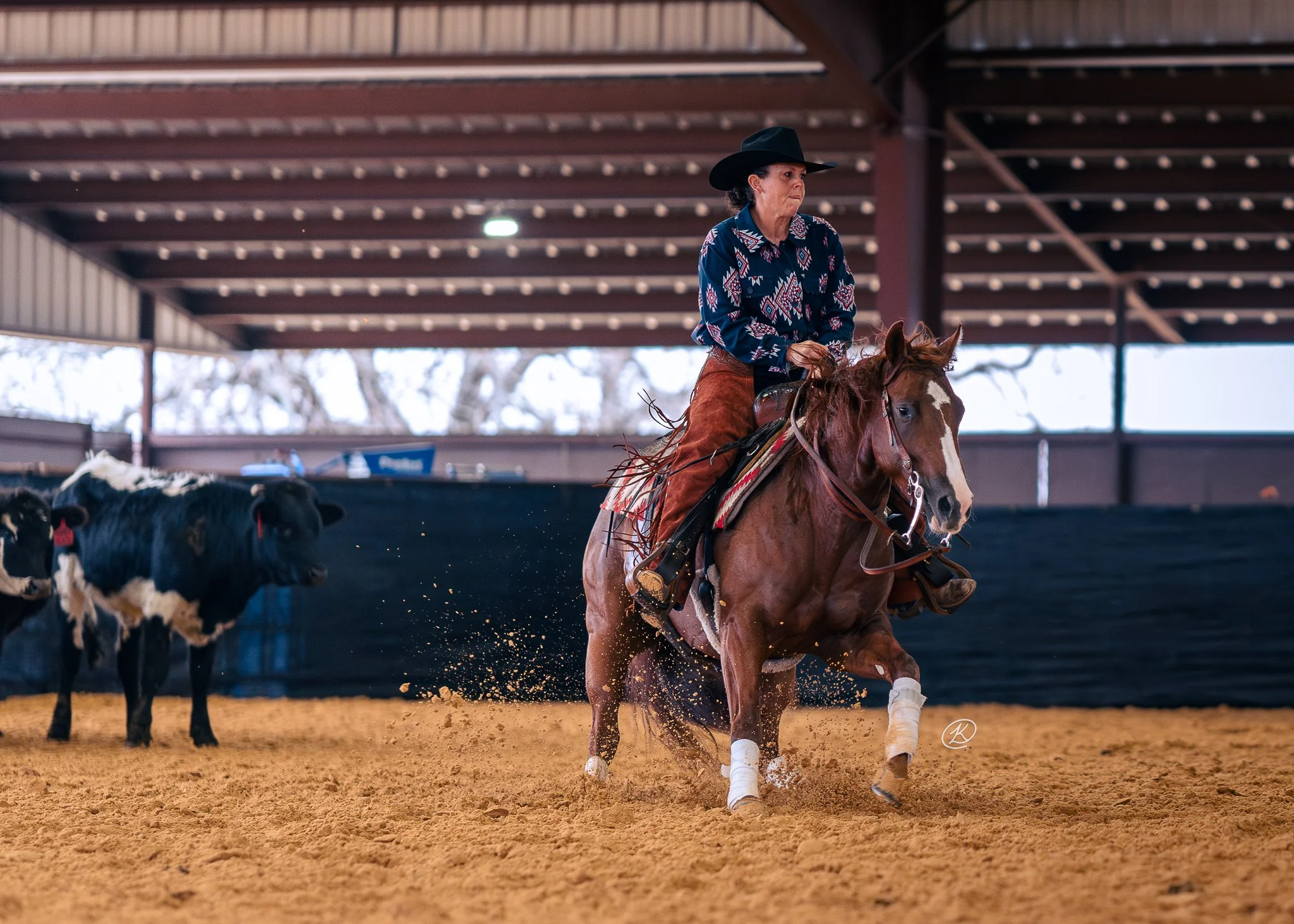 Equine Events