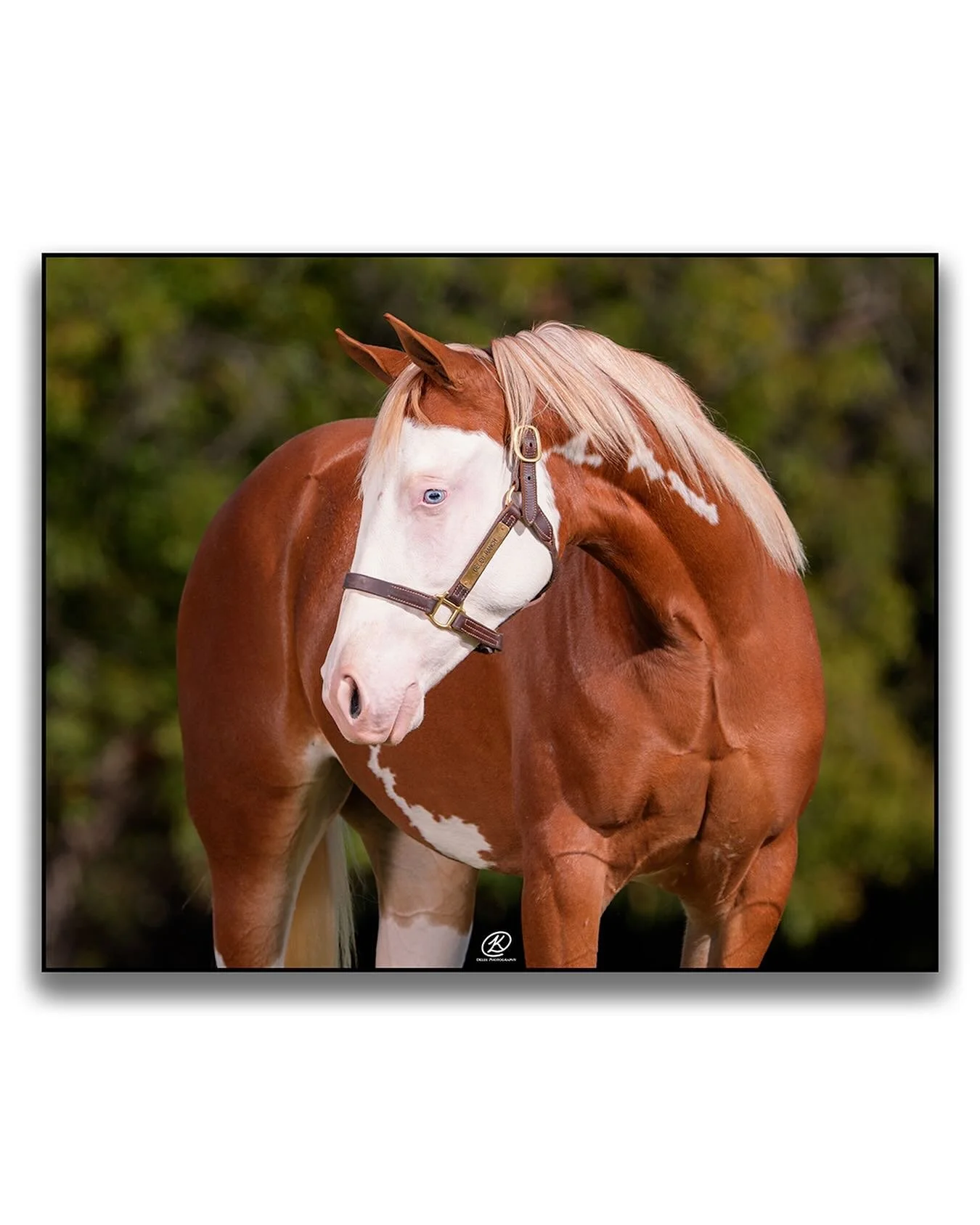 Loving how my head shots are finally turning out to my vision!