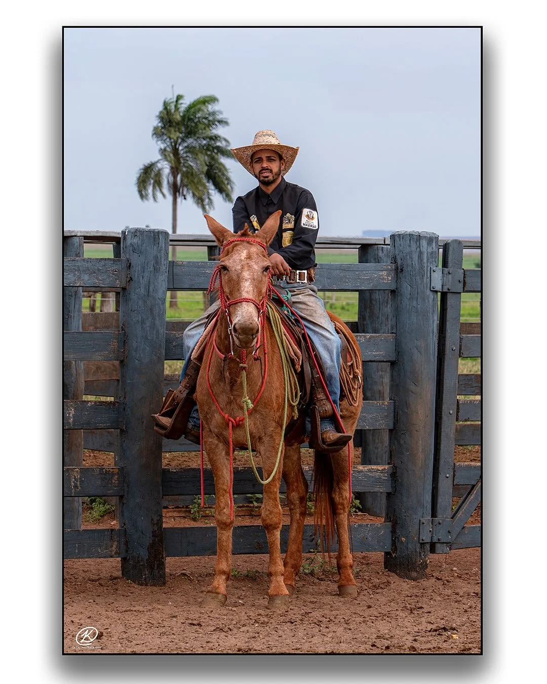 From my last trip to Brasil in Campo Grande