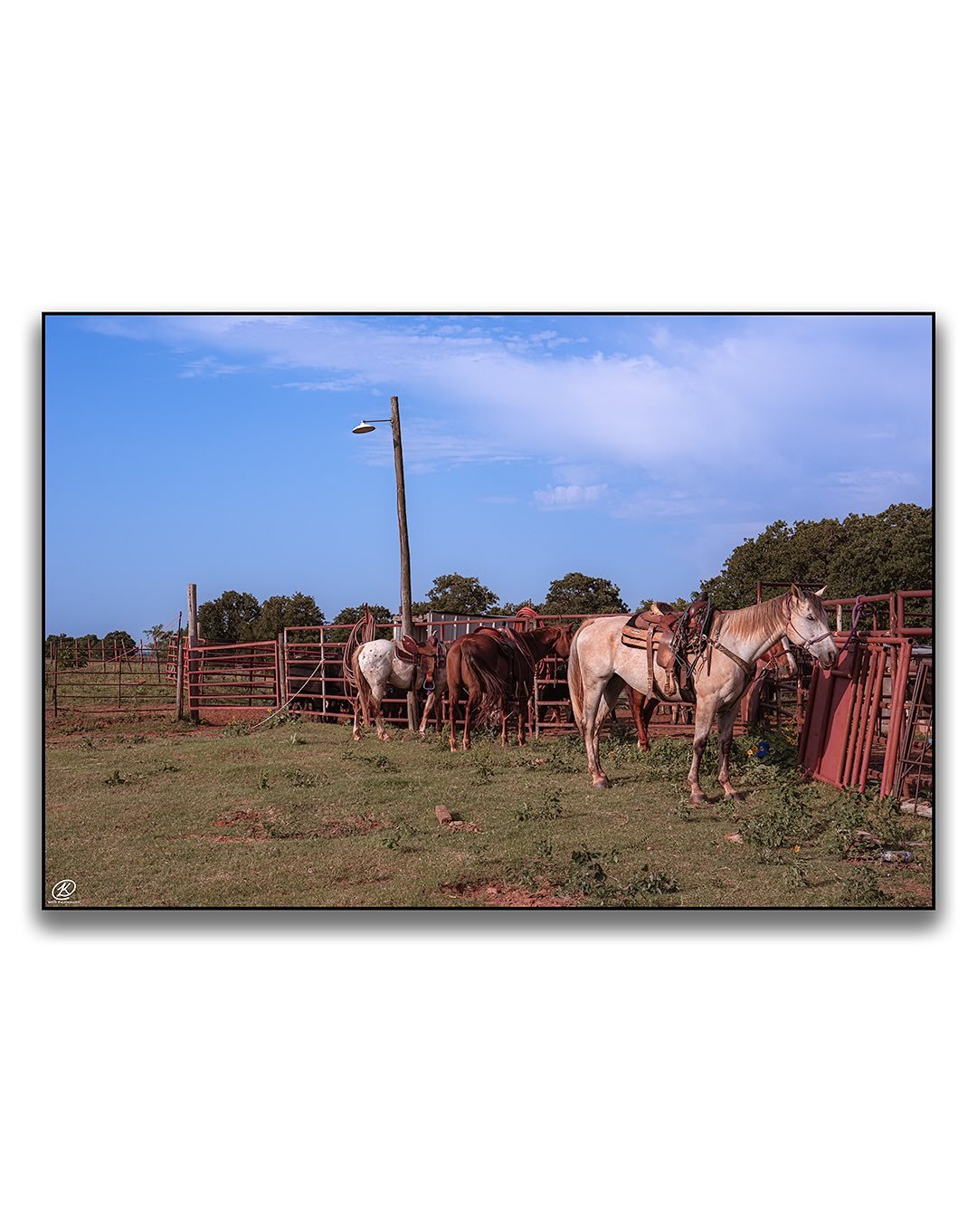 Composition is key 👌🏼