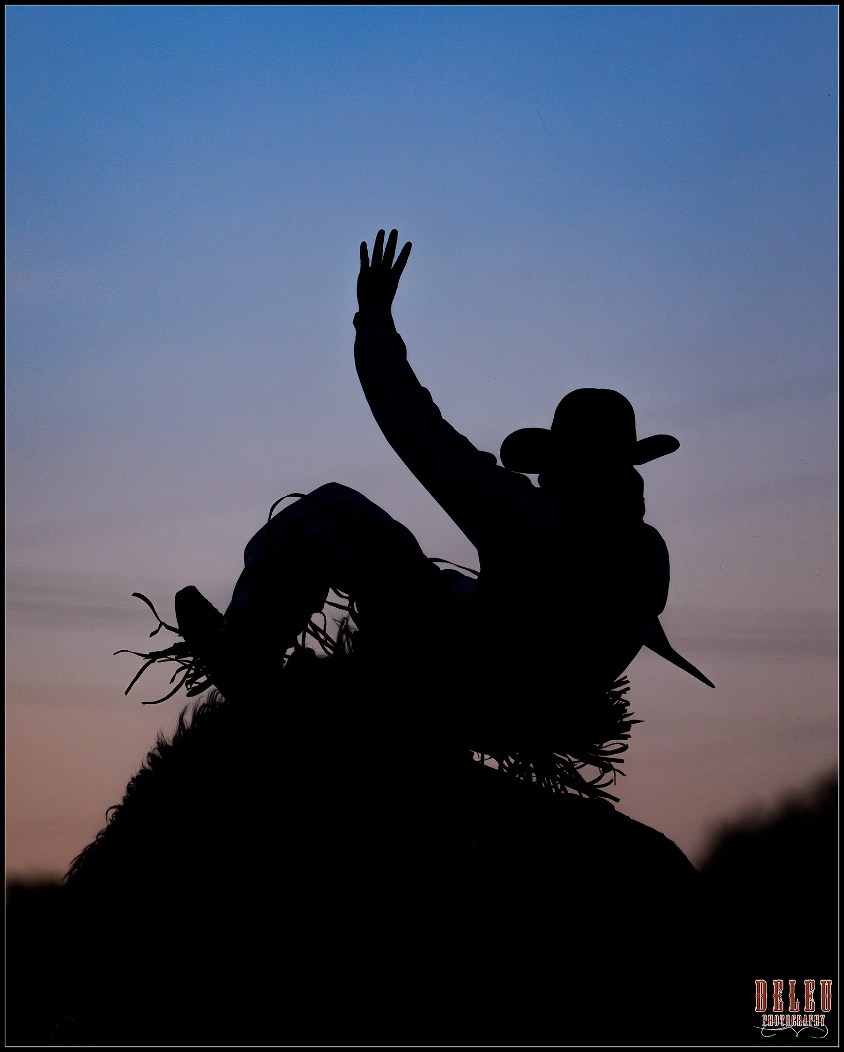 KCD02238-2.jpg