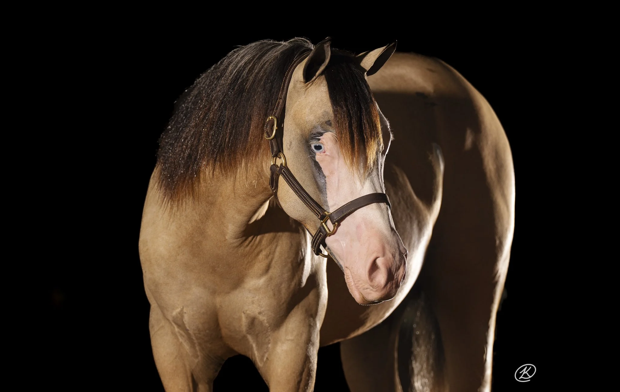 IMG_0526.JPG
