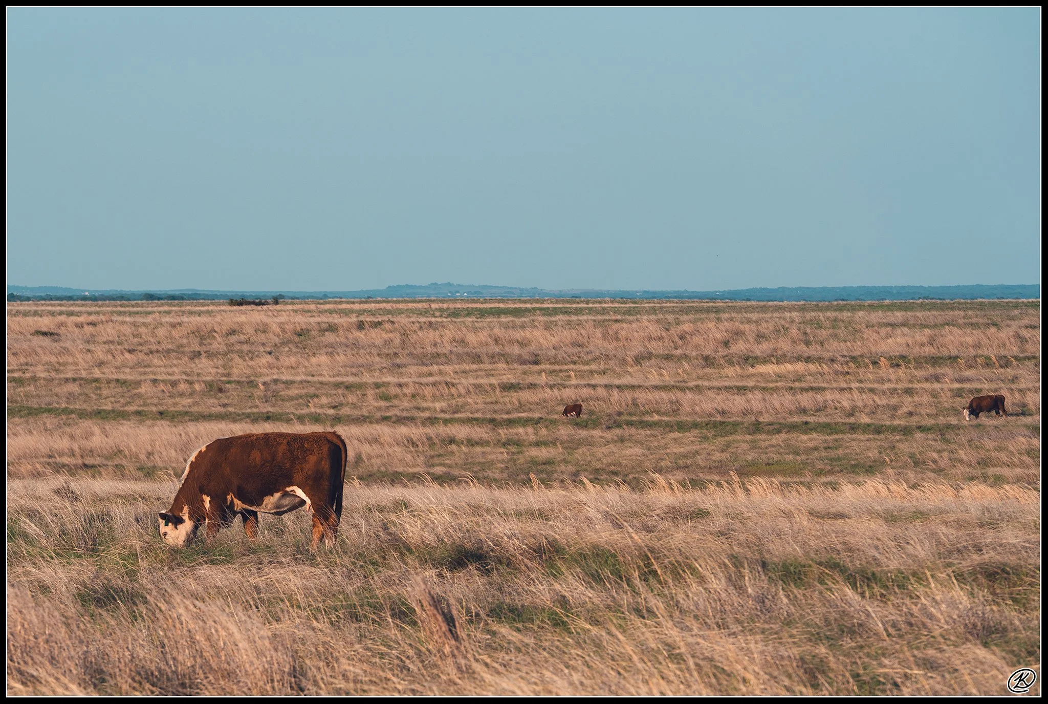 KCD06903-2.jpg