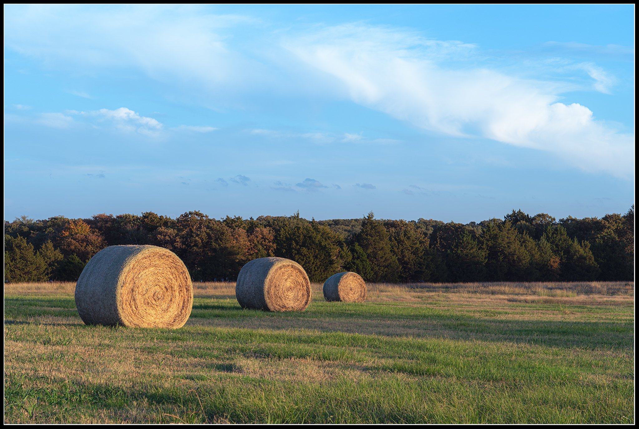 _KCD3578-2.jpg