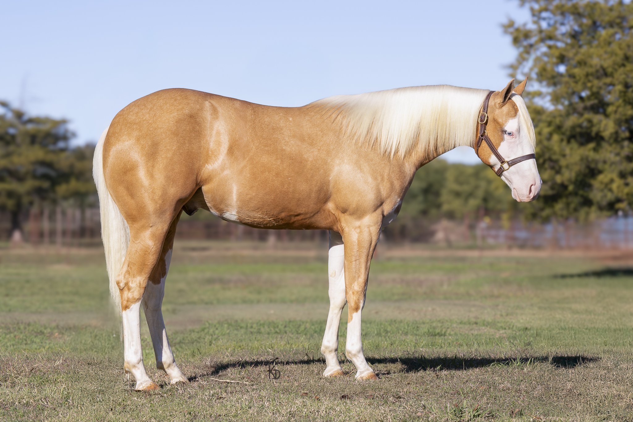 _KCD5852-2-Edit 22-2.jpg