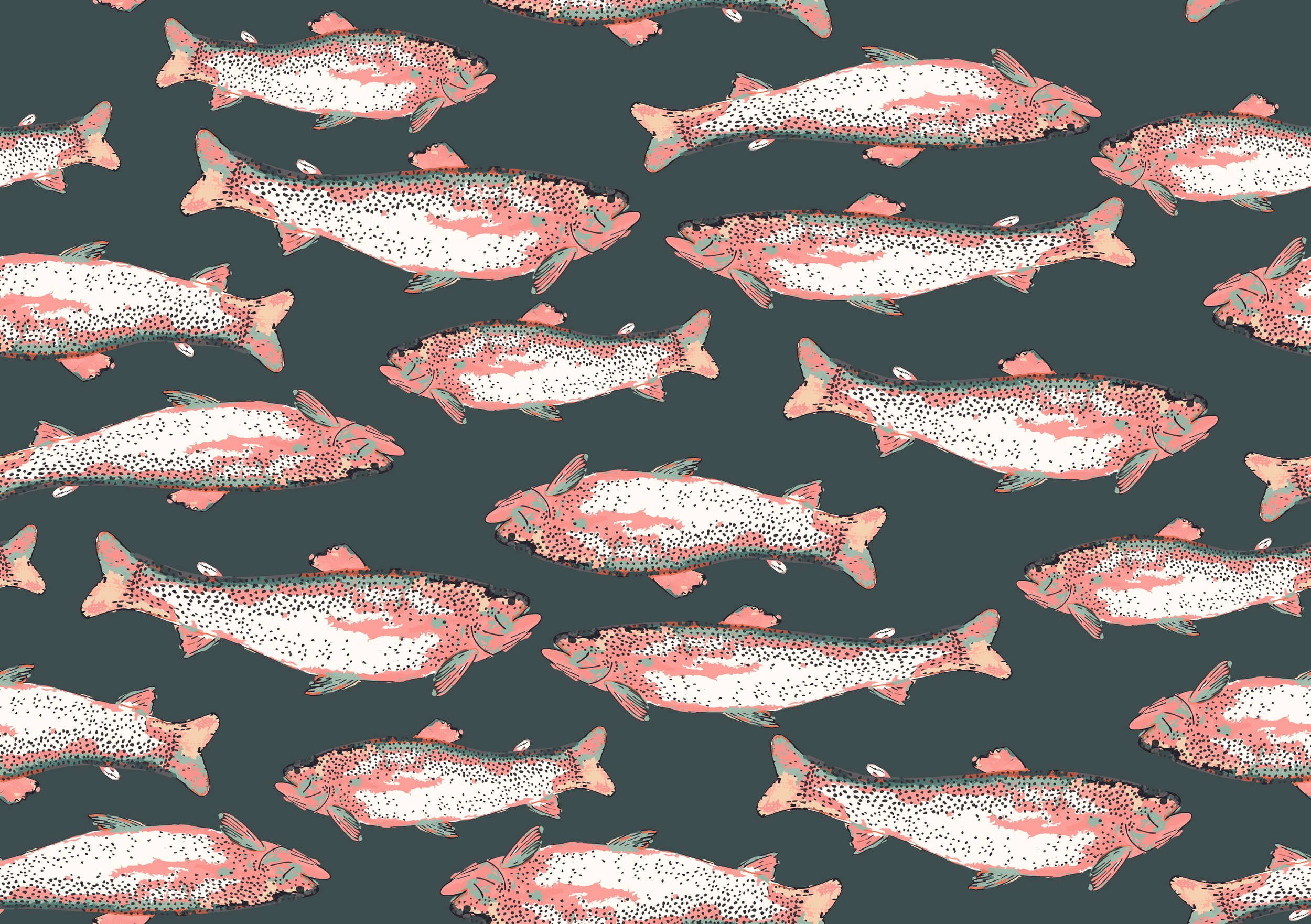 catch and release-01.jpg