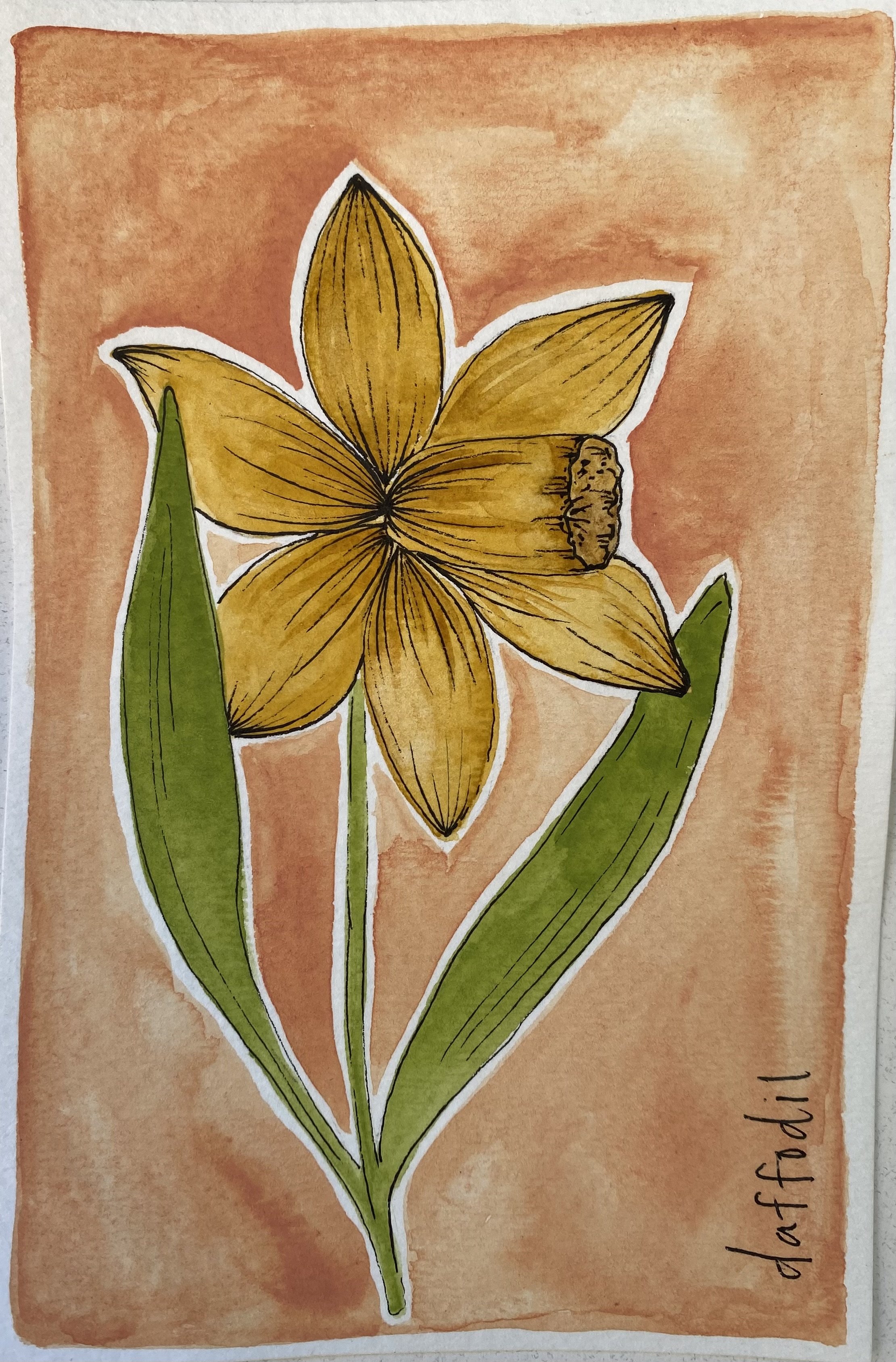Daffodil