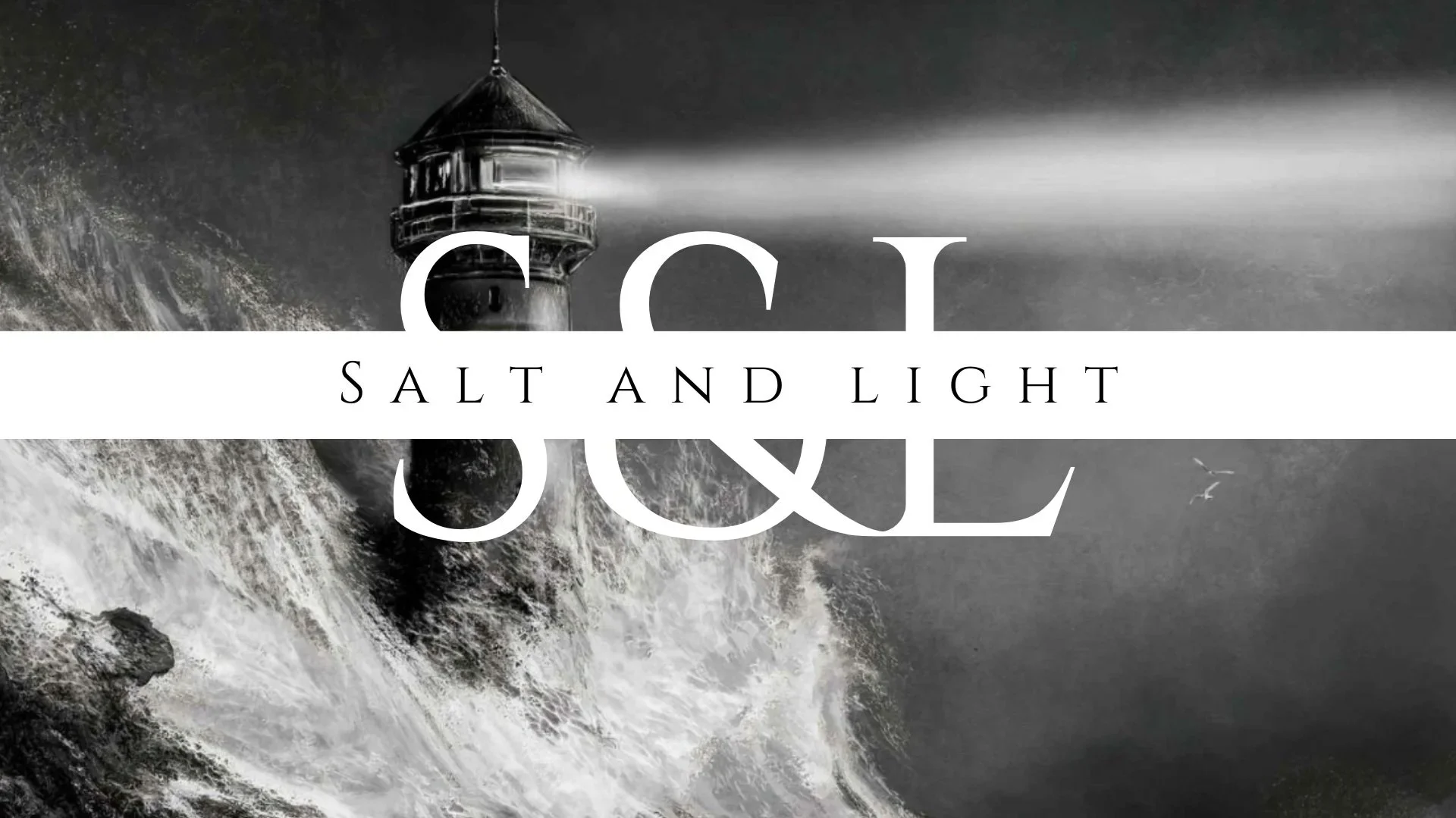 Salt &amp; light - Young Adults Ministry