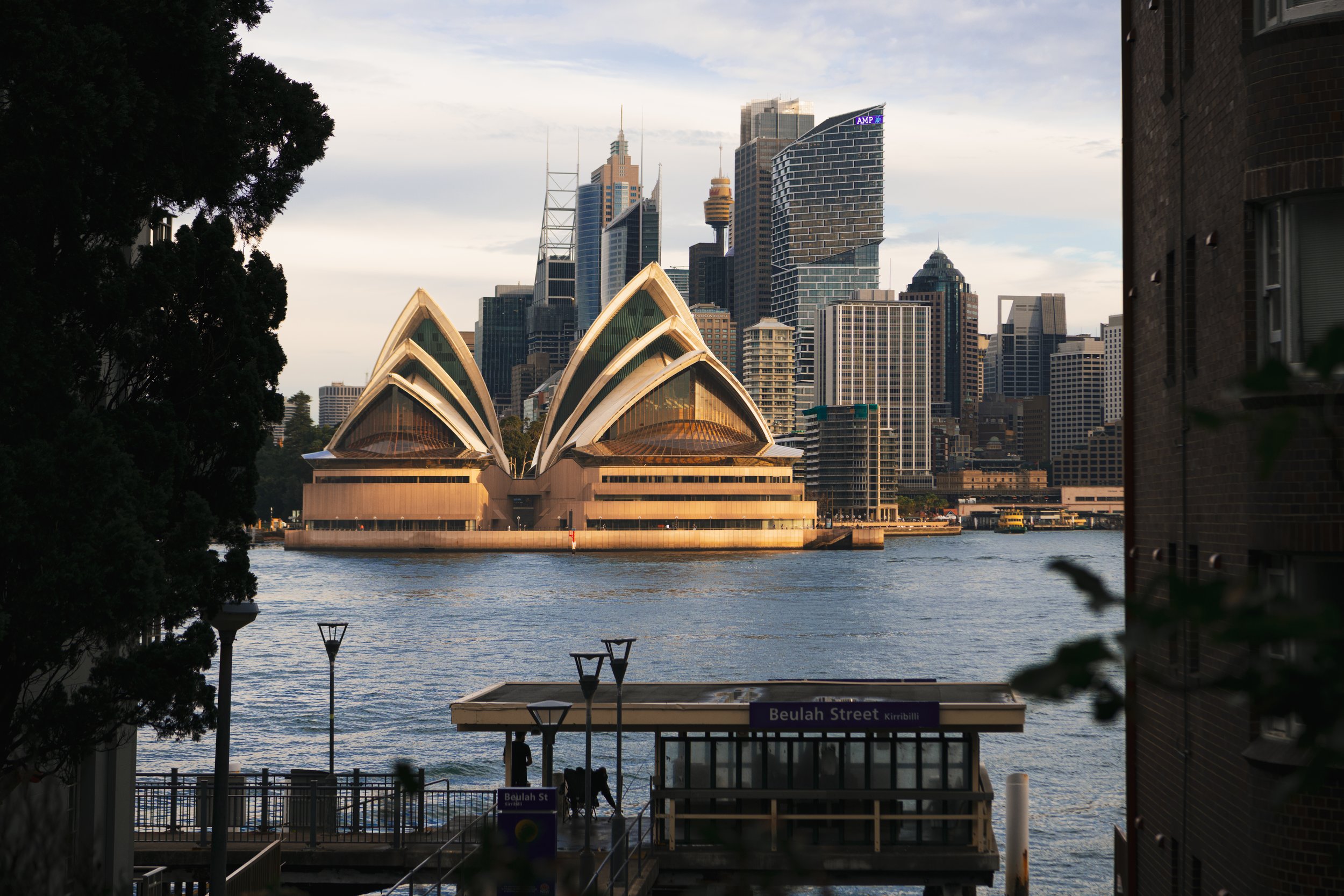 20260617_Sydney_0225.jpg