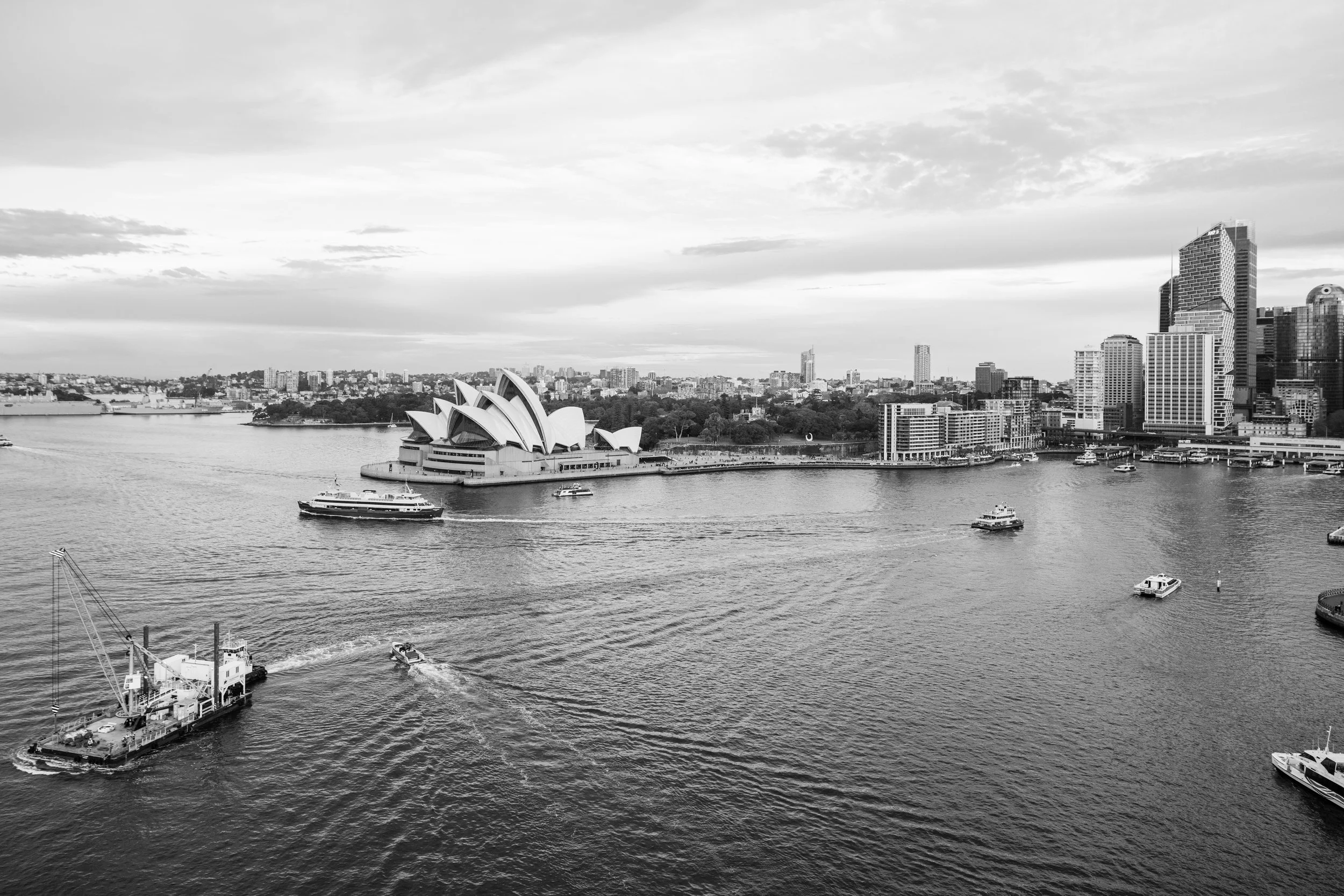 20260617_Sydney_0246.jpg