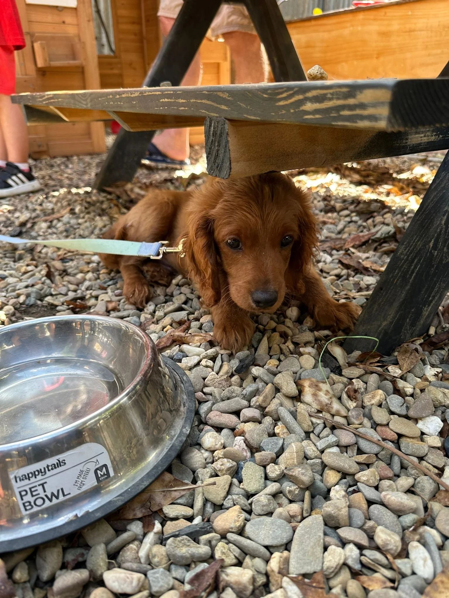 WhatsApp Image 2026-02-28 at 09.02.14 (1).jpeg