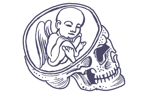 Purple Alasdair Gray drawing of winged baby curled inside brain cavity of a skull