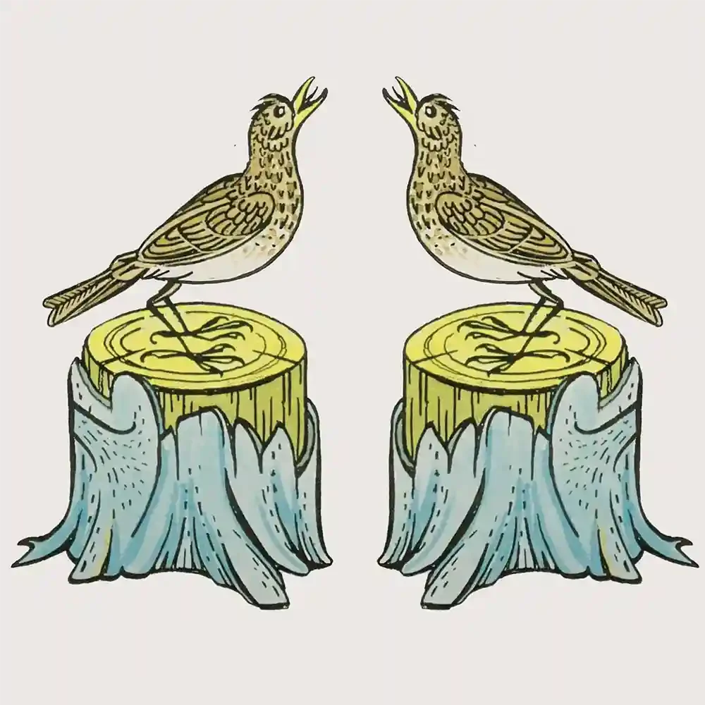 Drawing in black outline and delicate tints of blue, yellow and brown. 2 song thrushes in mirror image facing each other stand on an old tree stump with beaks upraised and open so they appear to be singing.