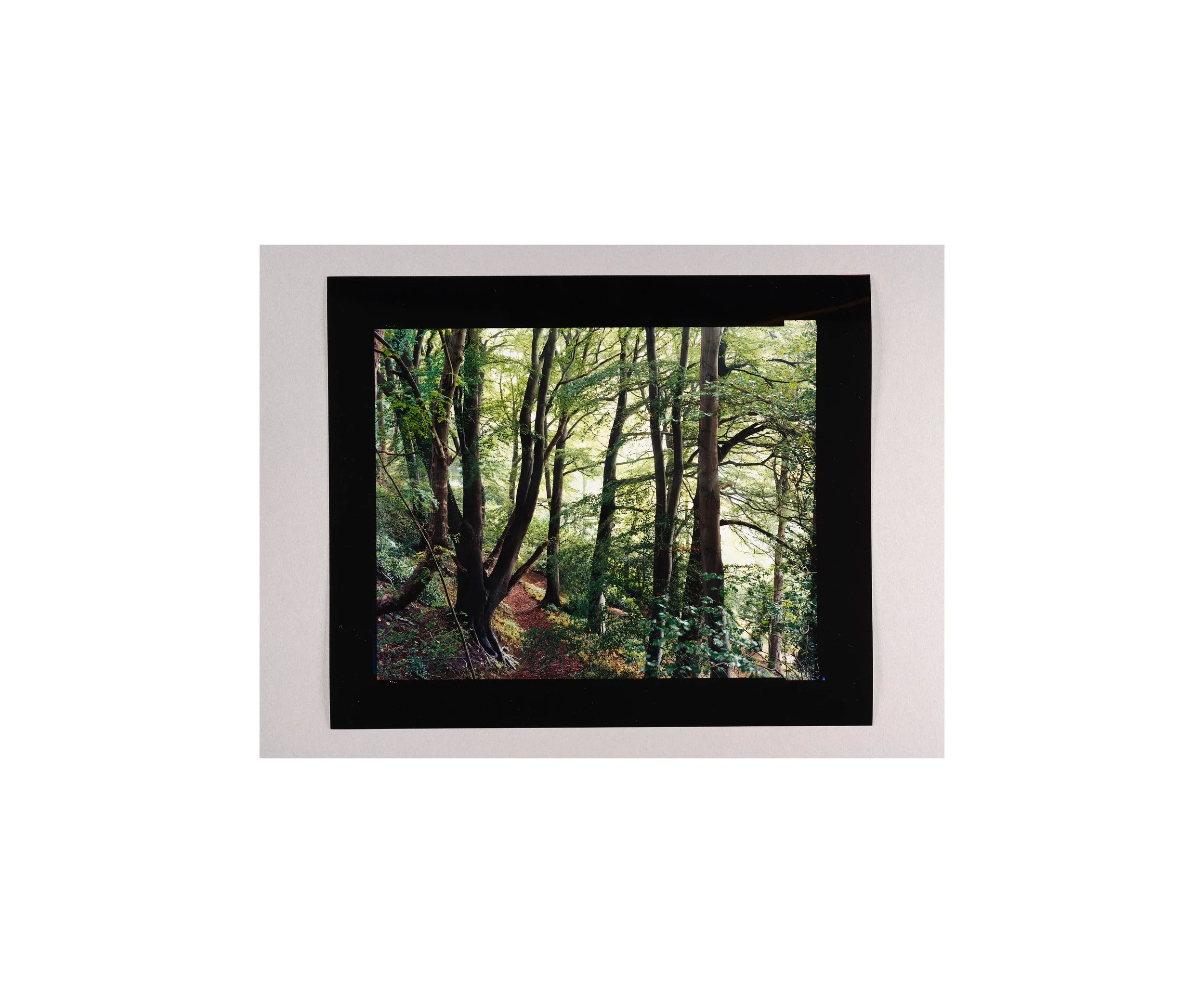 2025_10_07_contact scanning0539b.jpg