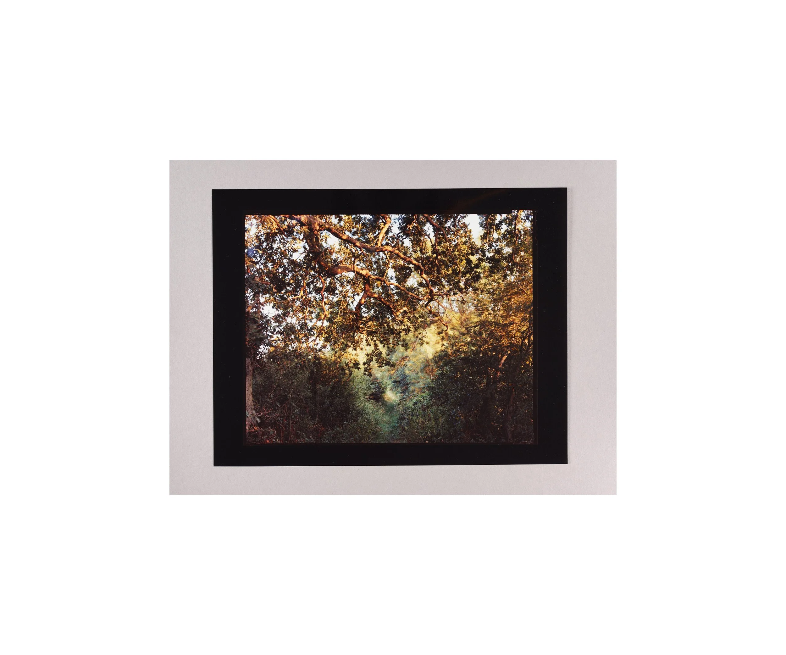 2025_10_07_contact scanning0550b.jpg