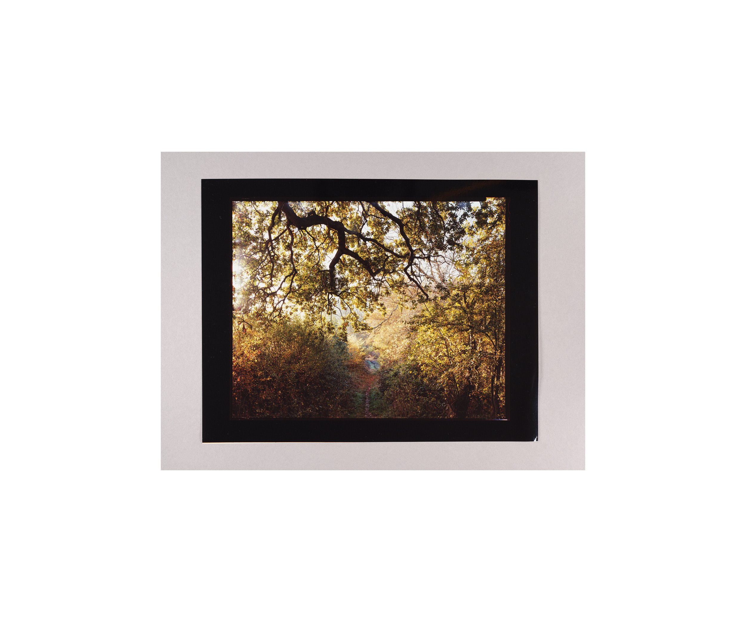 2025_10_07_contact scanning0547b.jpg