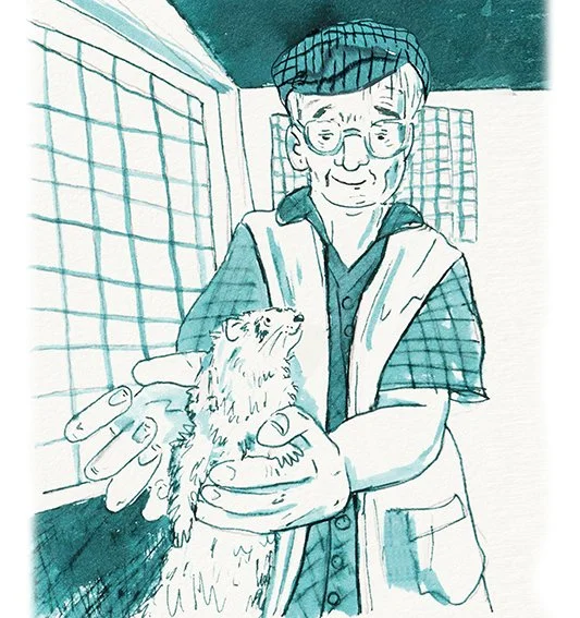 Ruminations of Ronnie