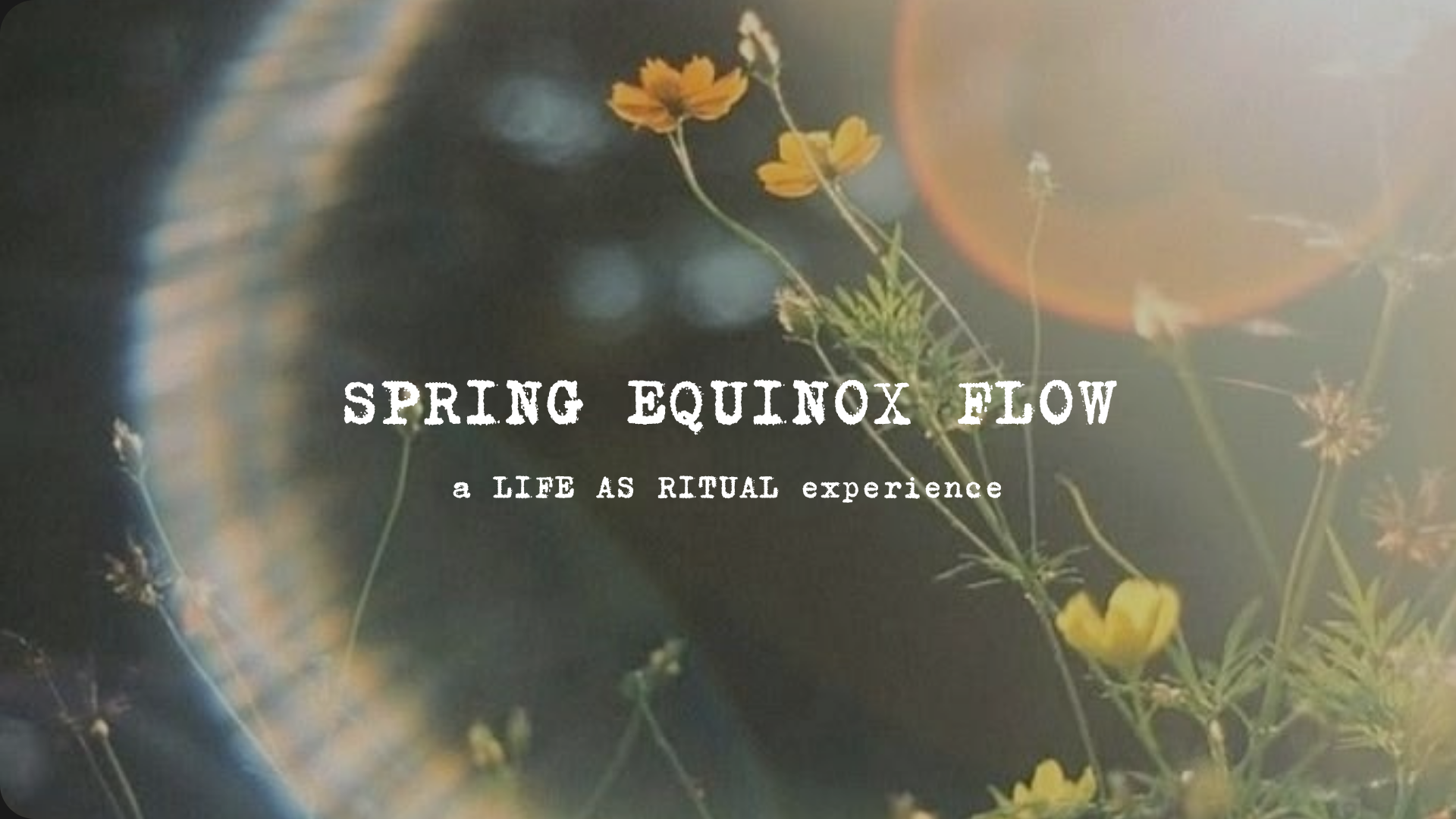 Spring Equinox Flow | Life as Ritual
