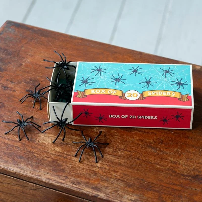 spiders_1.jpg