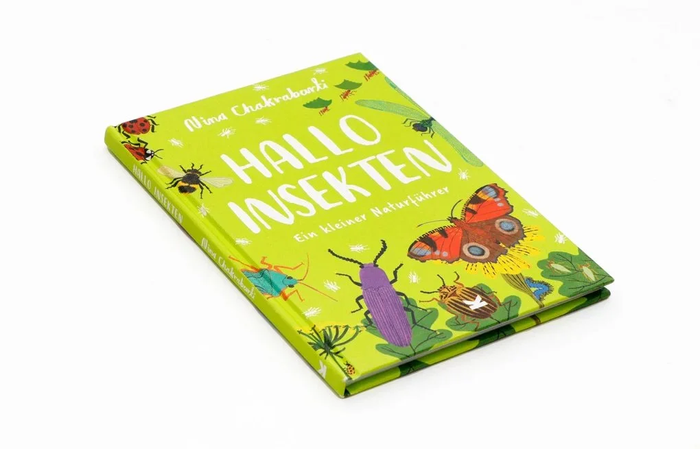 Hallo_Insekten2.jpg