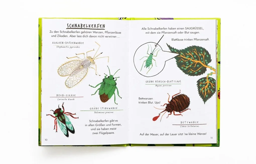 Hallo_Insekten4.jpg