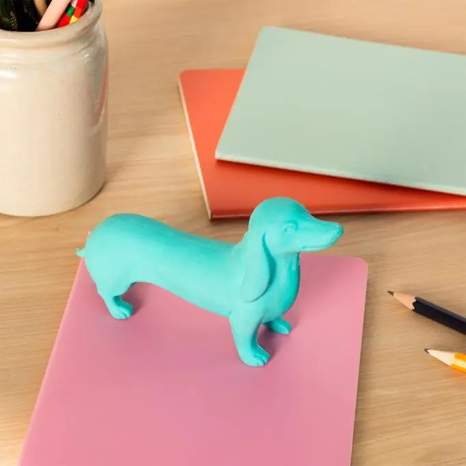 30636-giant-sausage-dog-eraser-turquoise_lifestyle.jpg.jpg