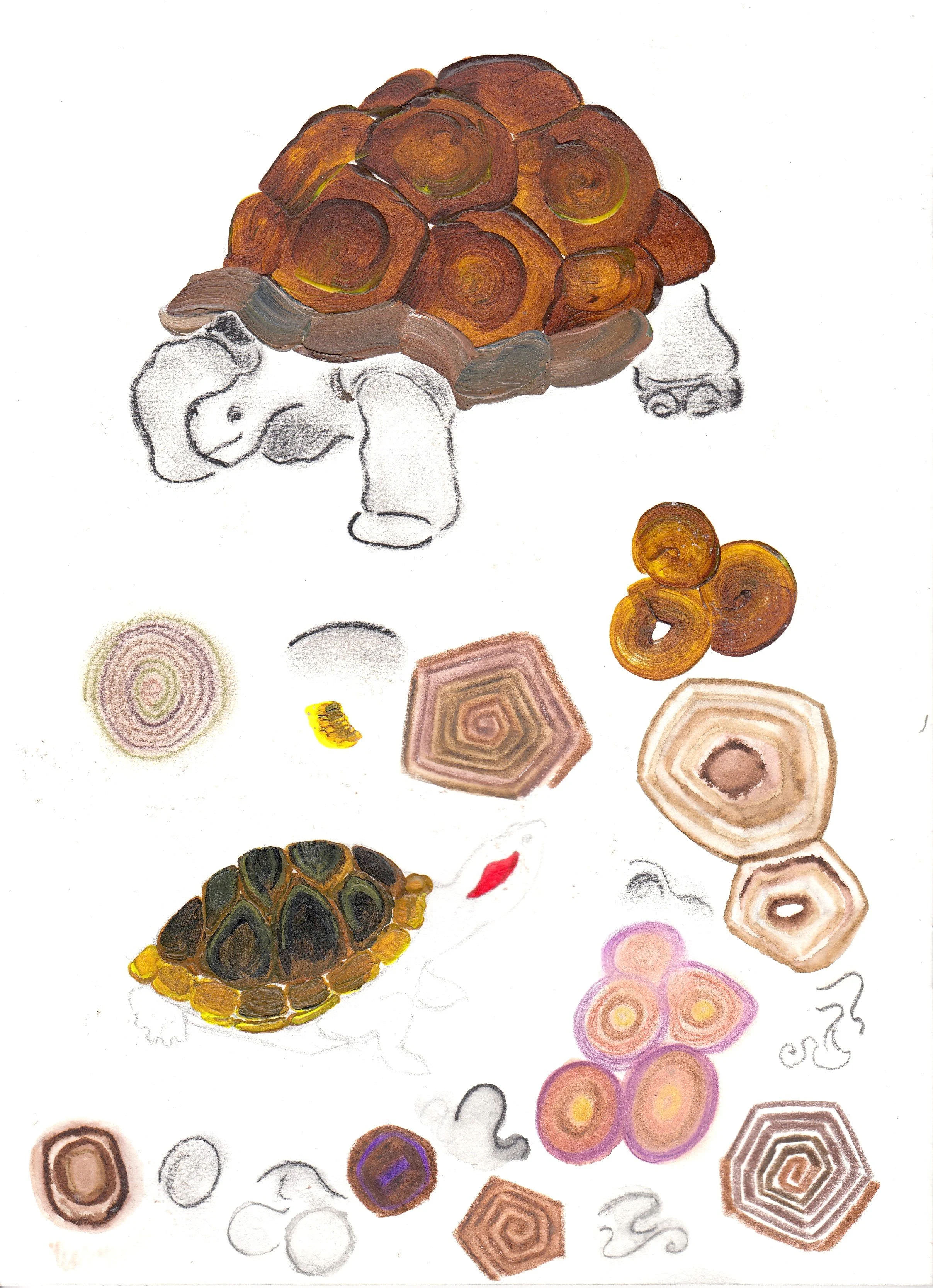 IMG_20220117_0009 (2).jpg