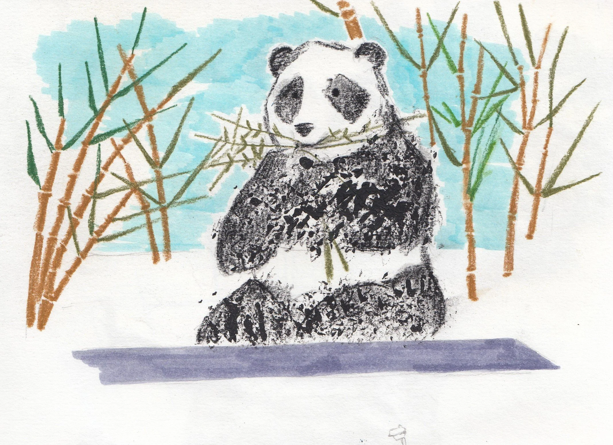 IMG_20220117_0014 (2).jpg