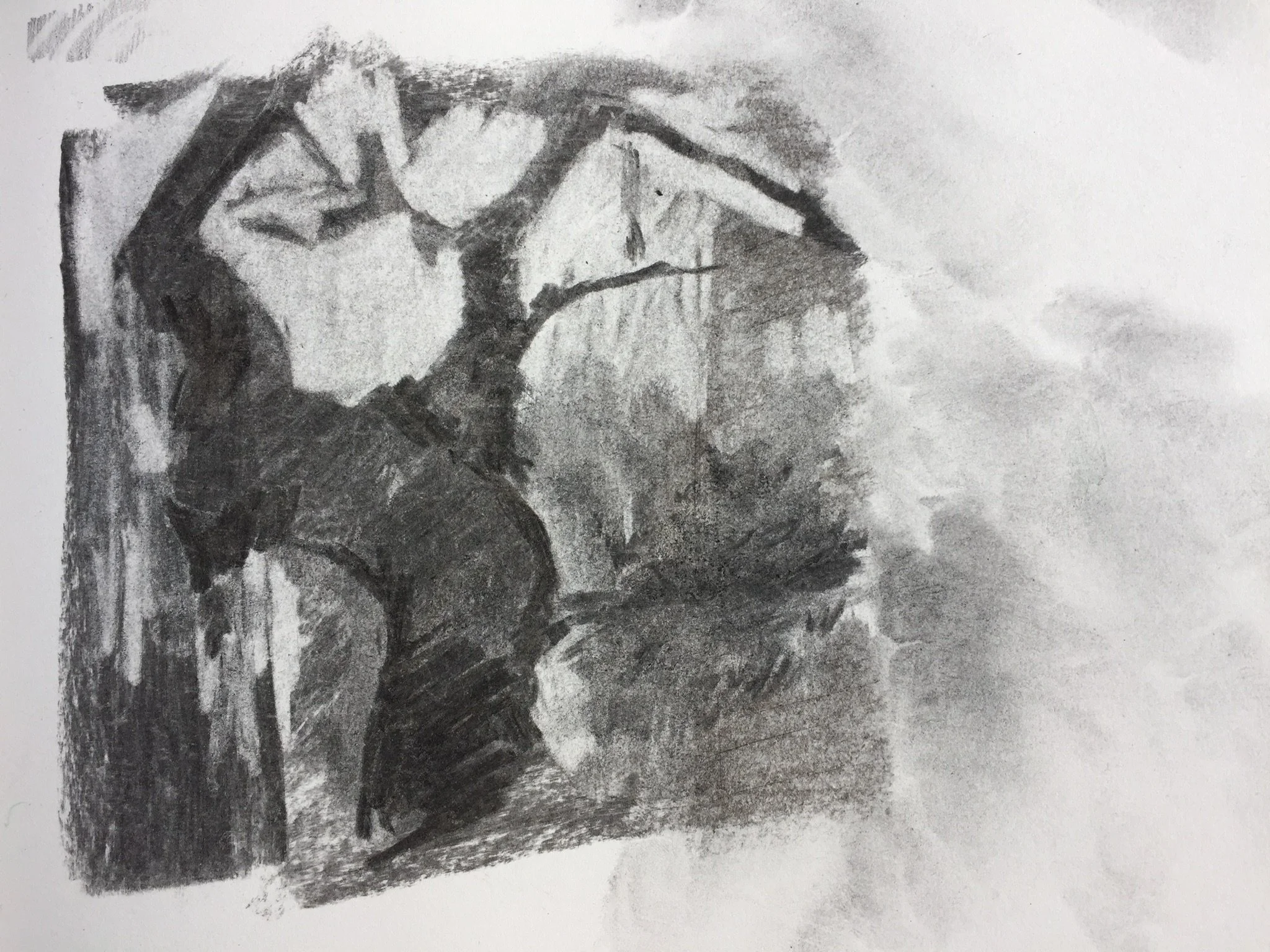 8cca2615-053a-4f4a-b39e-997a0702cf3b copy.jpg