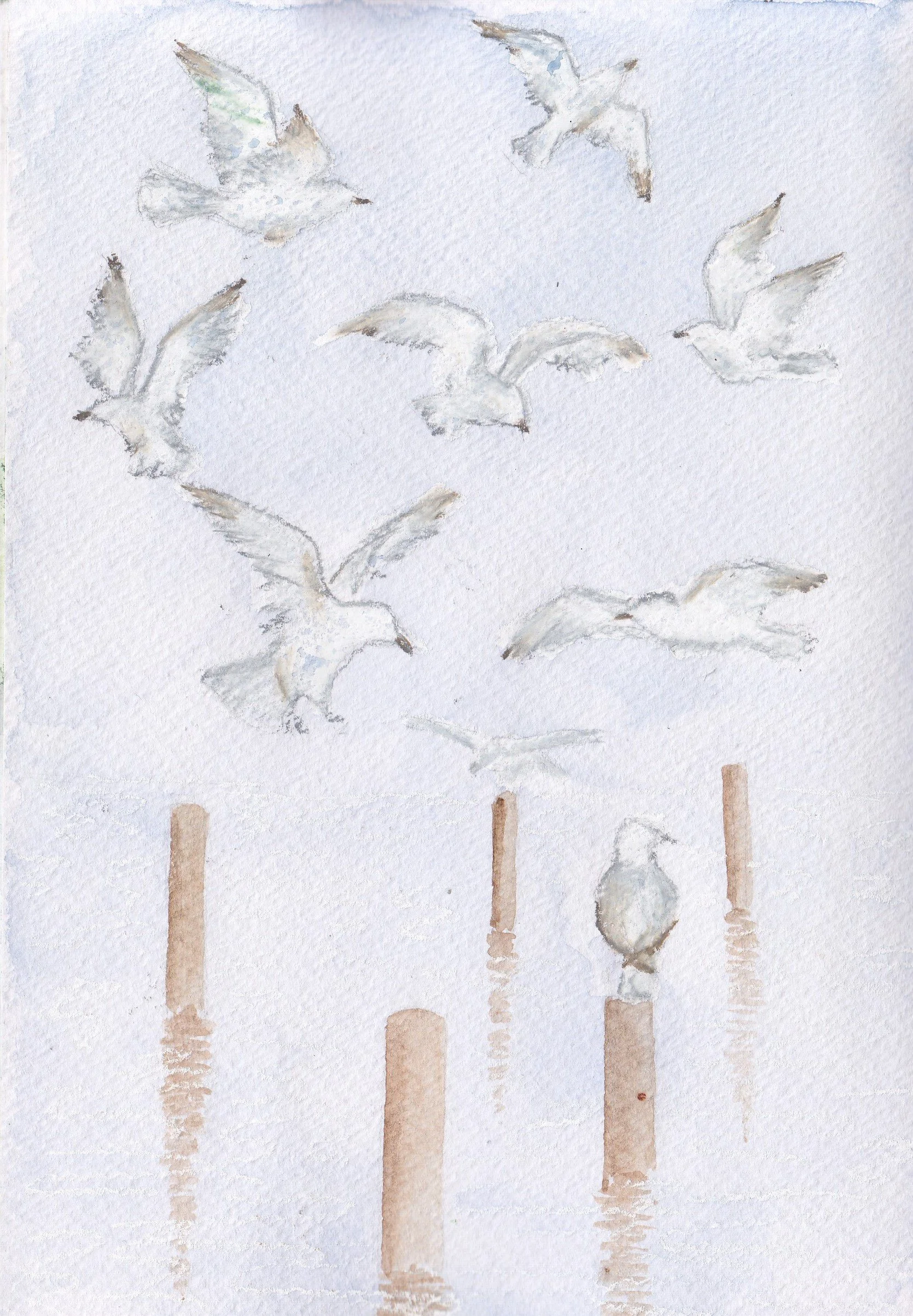 IMG_20220314_0001 (3).jpg