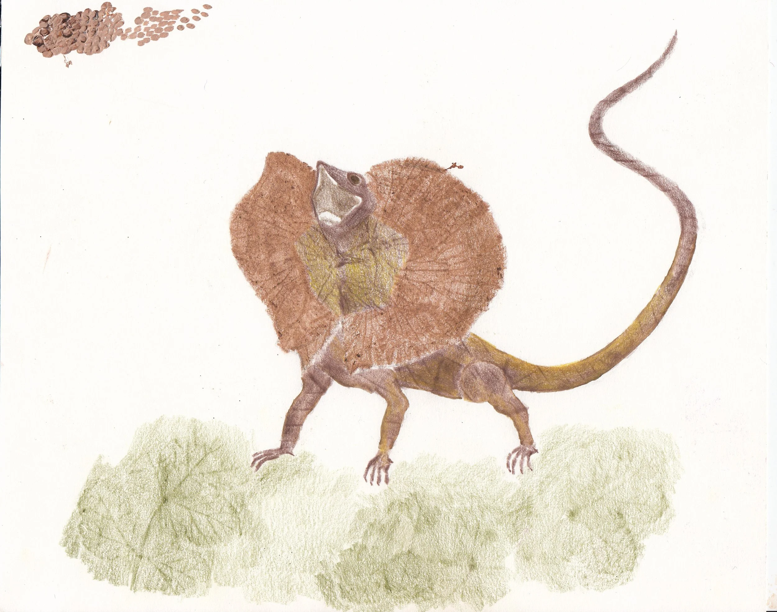 IMG_20260327_0001 copy 3.jpg