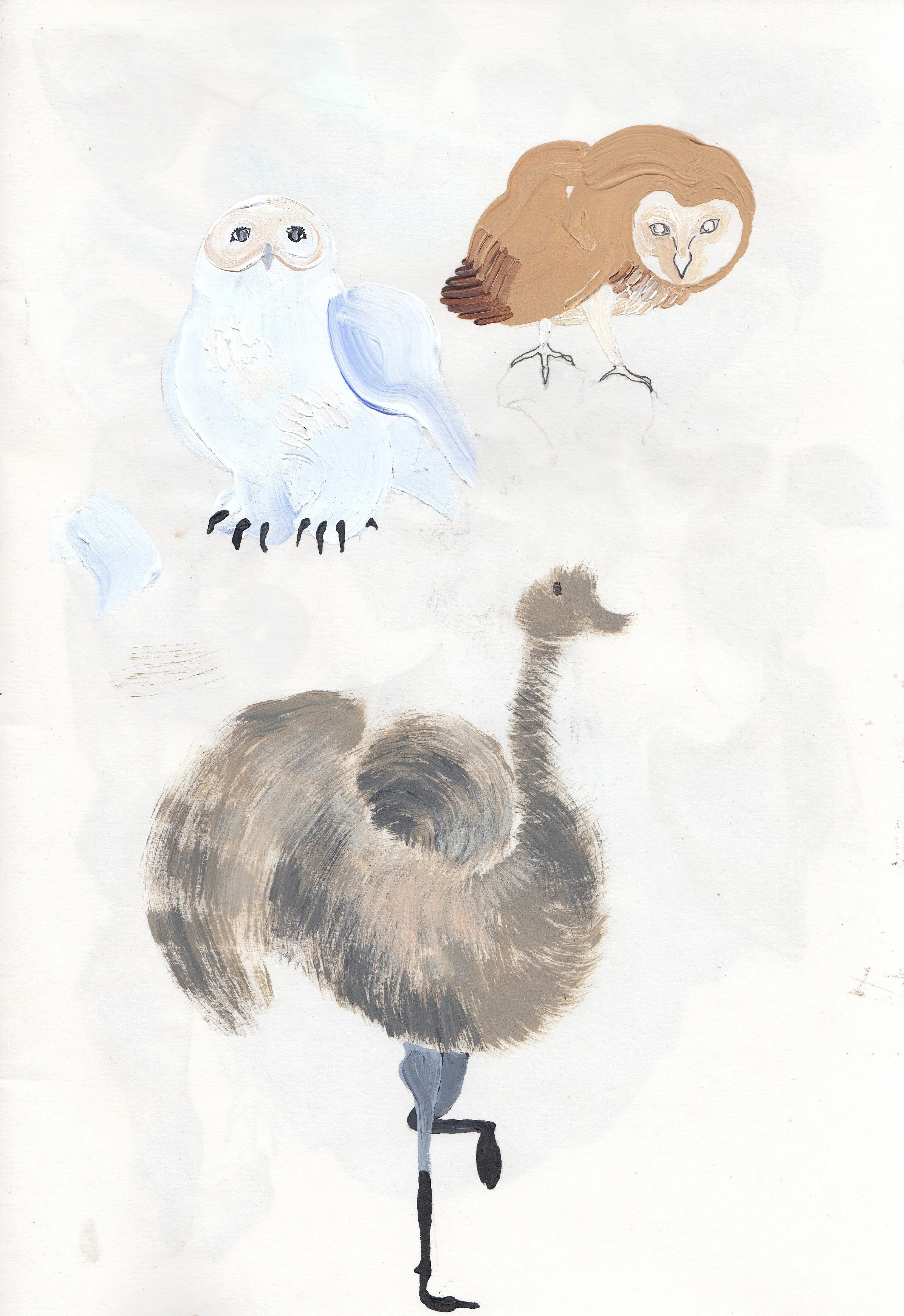 IMG_20220117_0007 (2).jpg