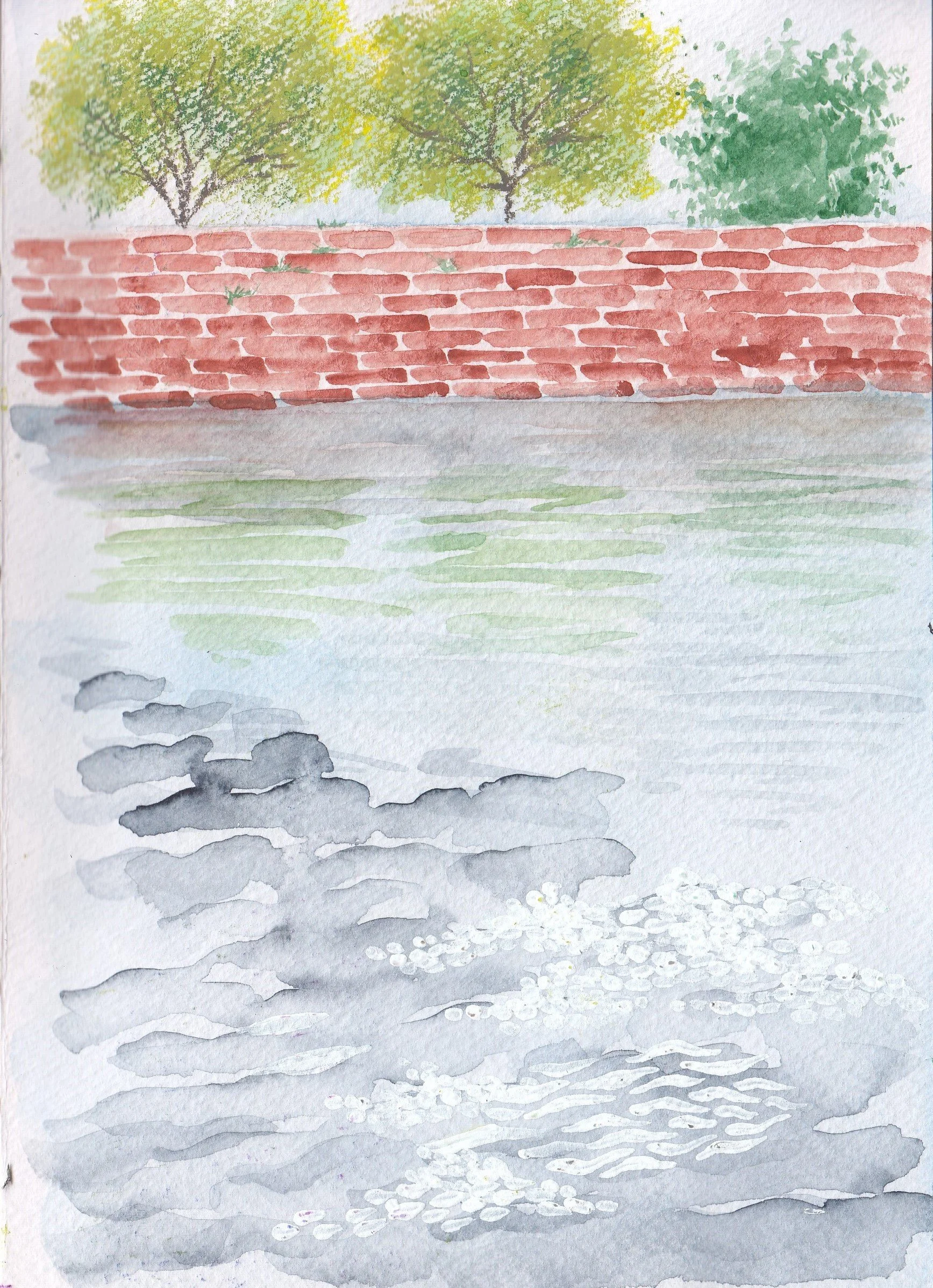 IMG_20220314_0030 (3).jpg