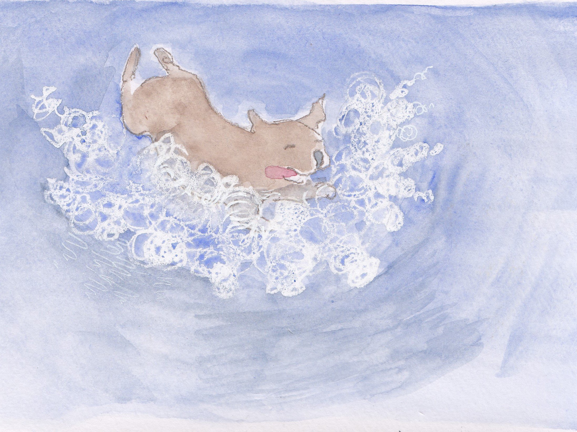 IMG_20220314_0002 (3).jpg