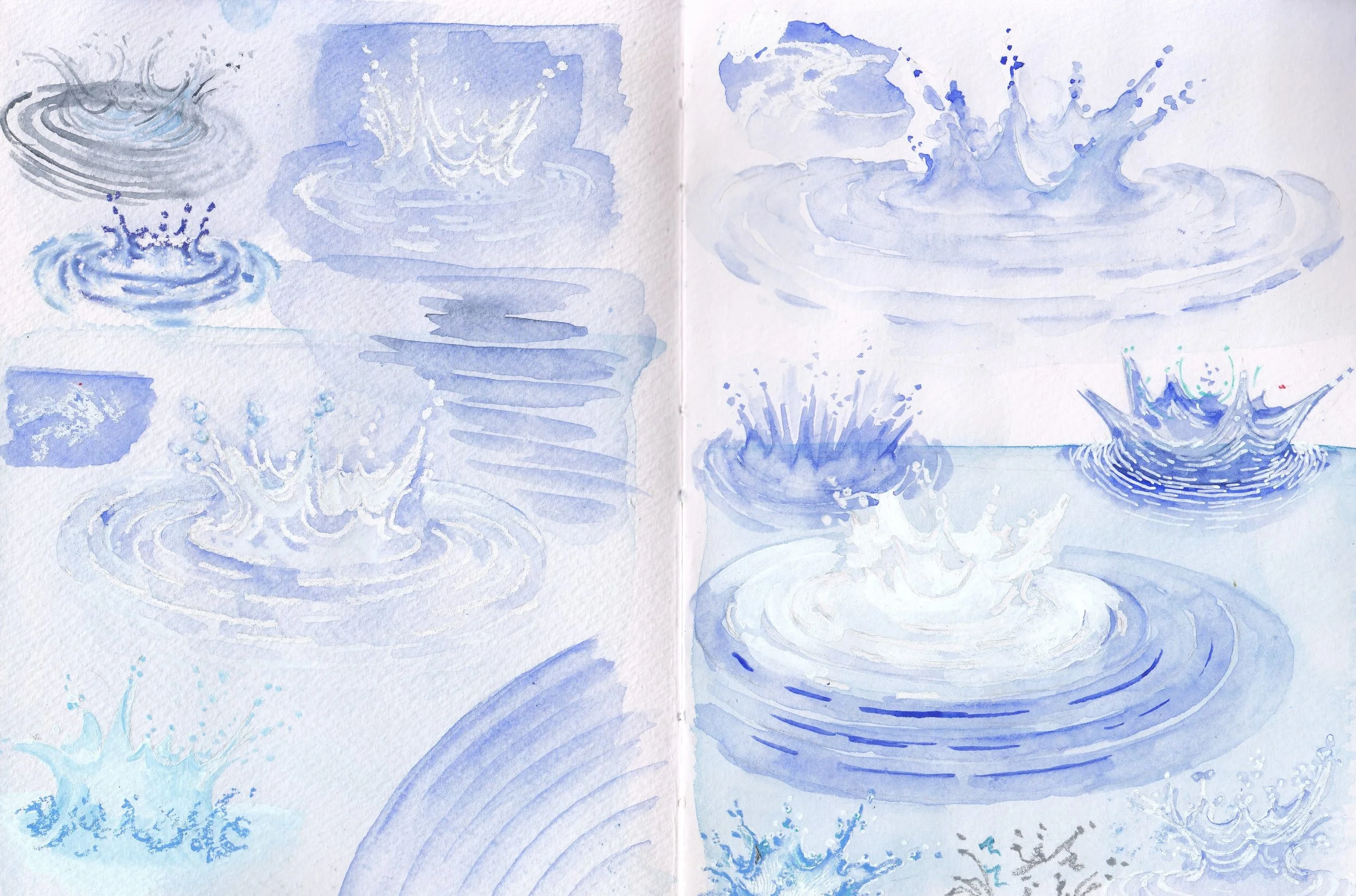 IMG_20220314_0001 (4).jpg