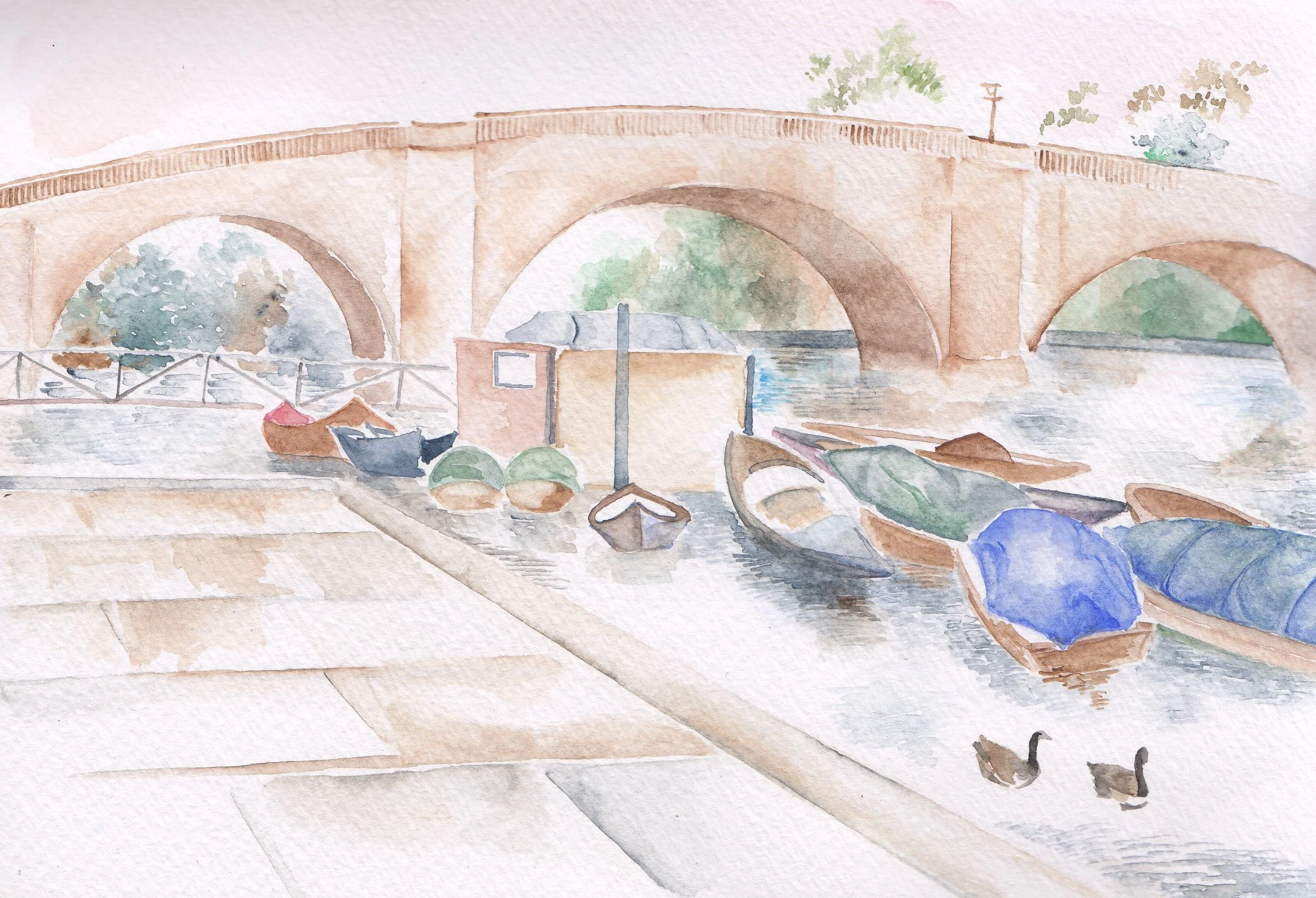 IMG_20220314_0005 (2).jpg