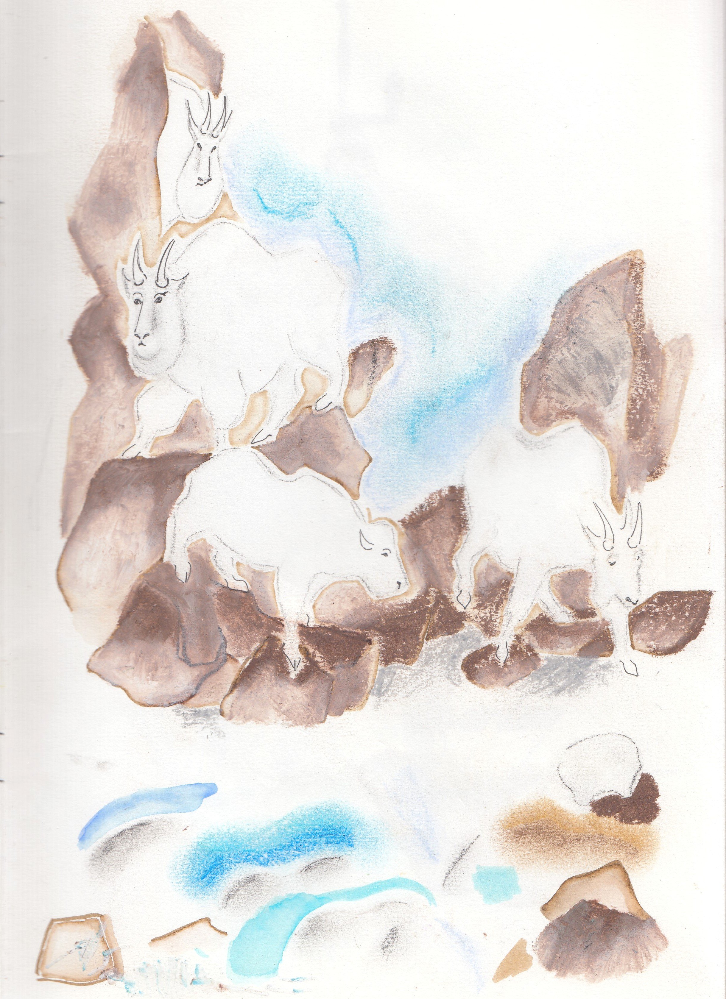 IMG_20220117_0008 (2).jpg