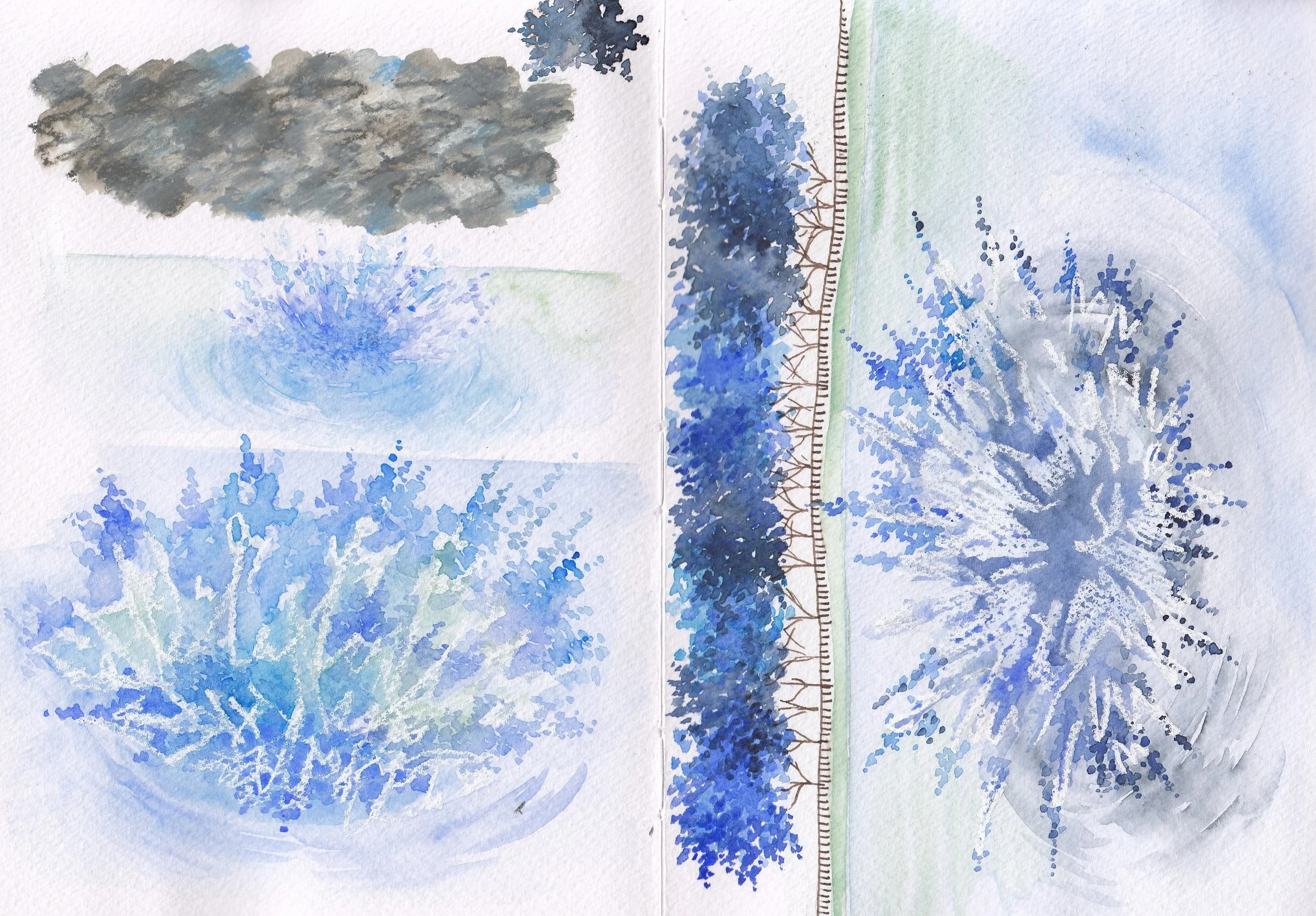 IMG_20220314_0004 (3).jpg