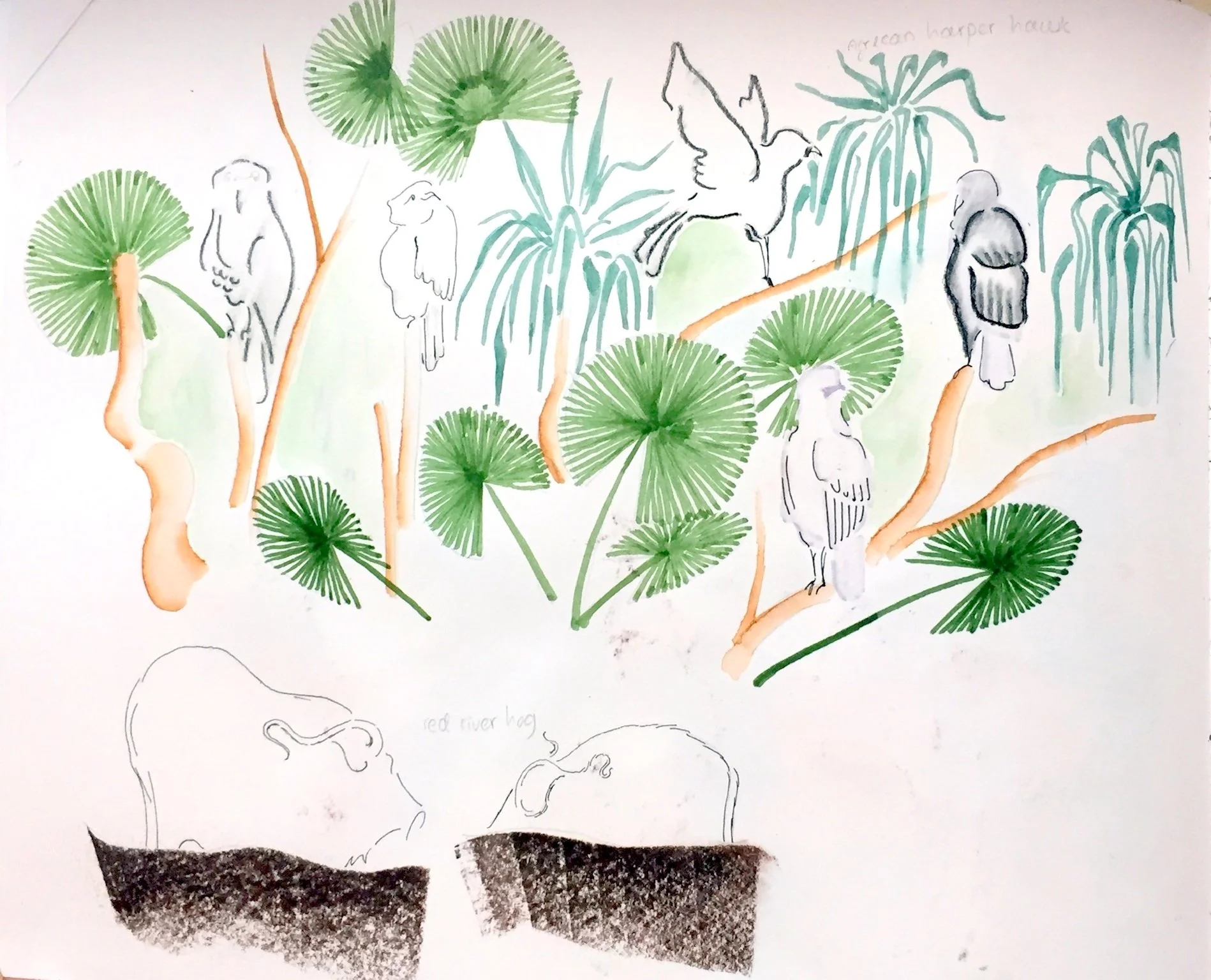 6dca27e1-6aa2-4b03-9254-8fe5c9a8e92d copy.jpg