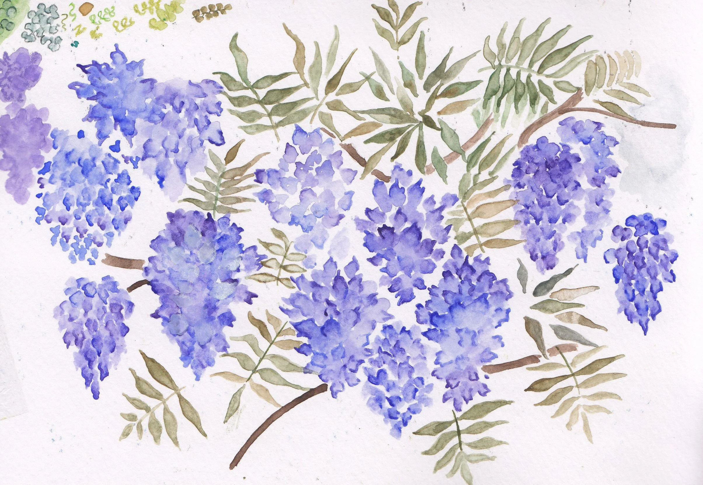 IMG_20220314_0014 (2).jpg