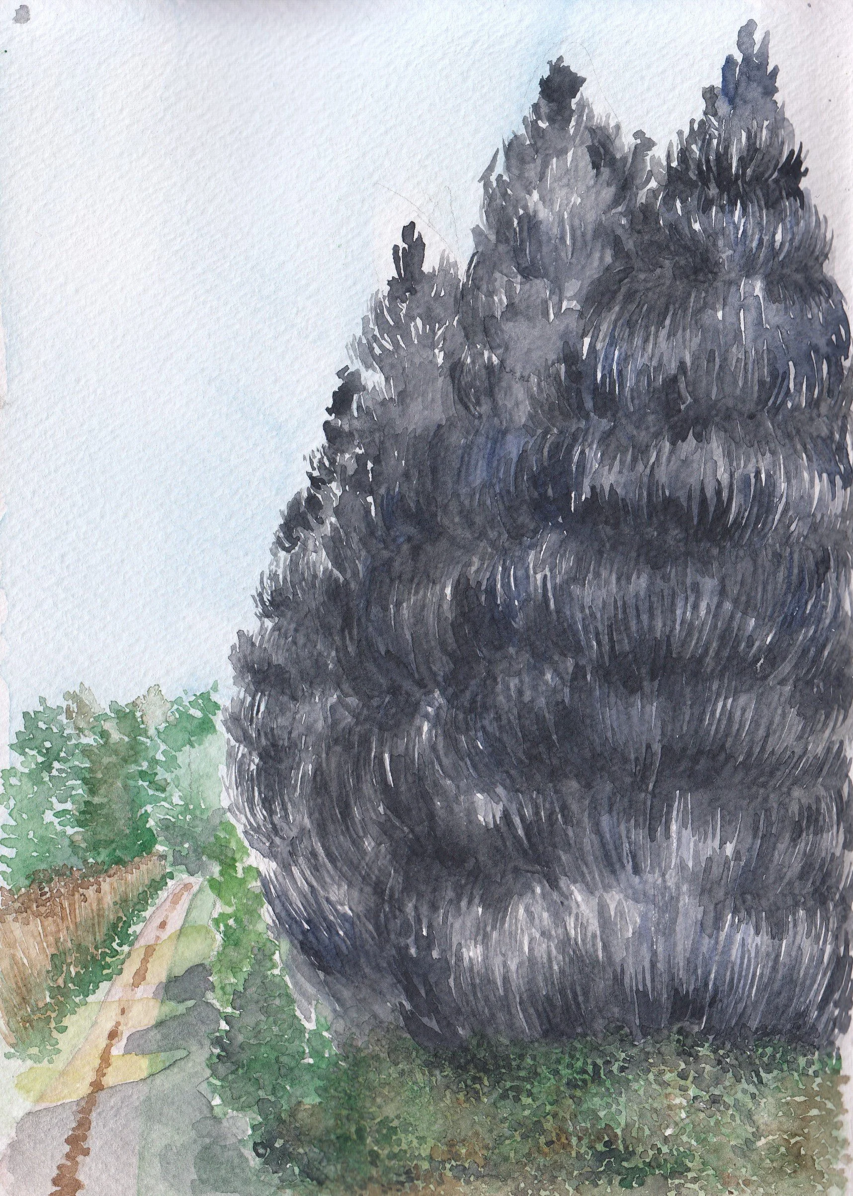 IMG_20220314_0027 (2).jpg