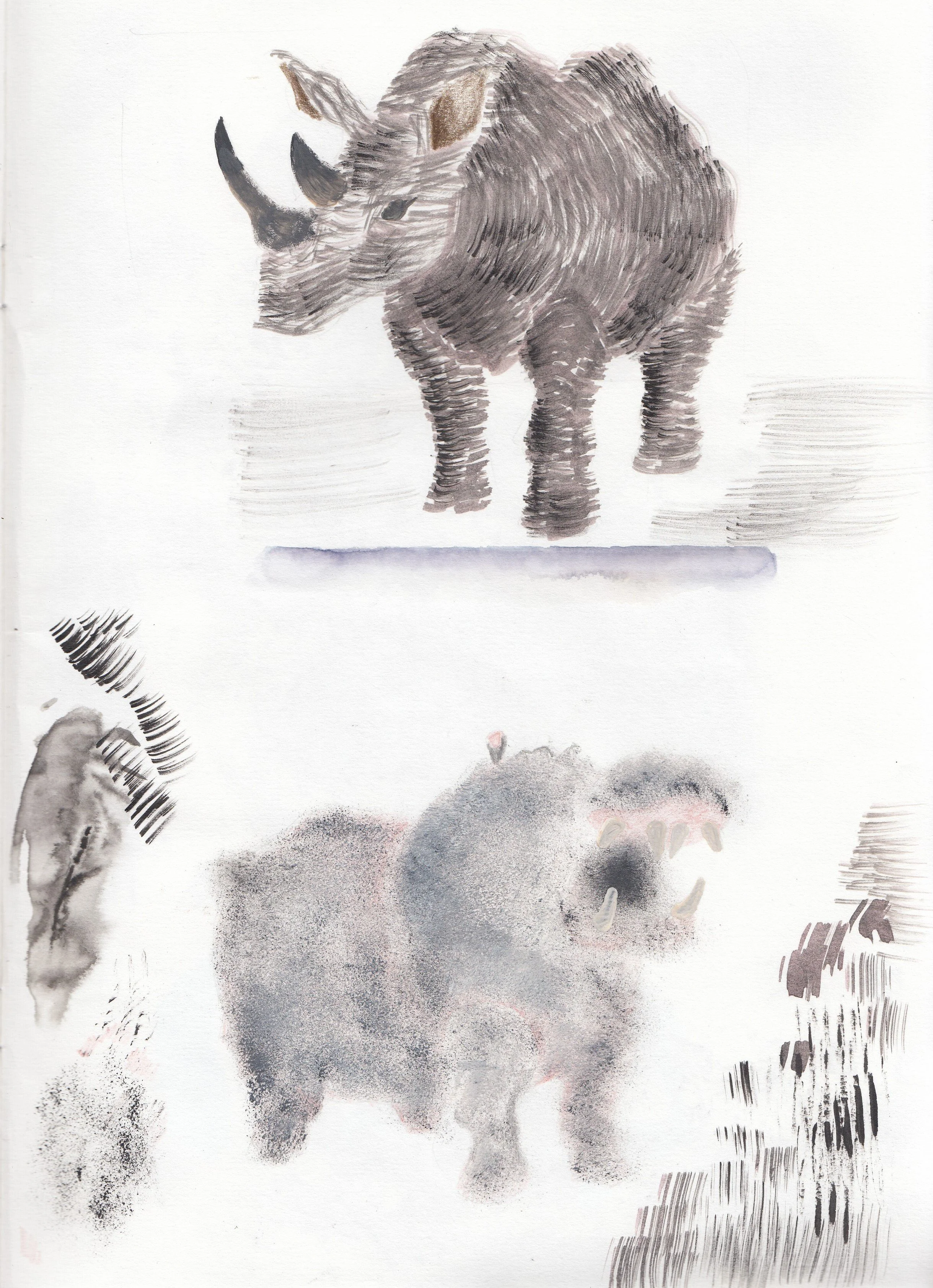 IMG_20220117_0023 (2).jpg