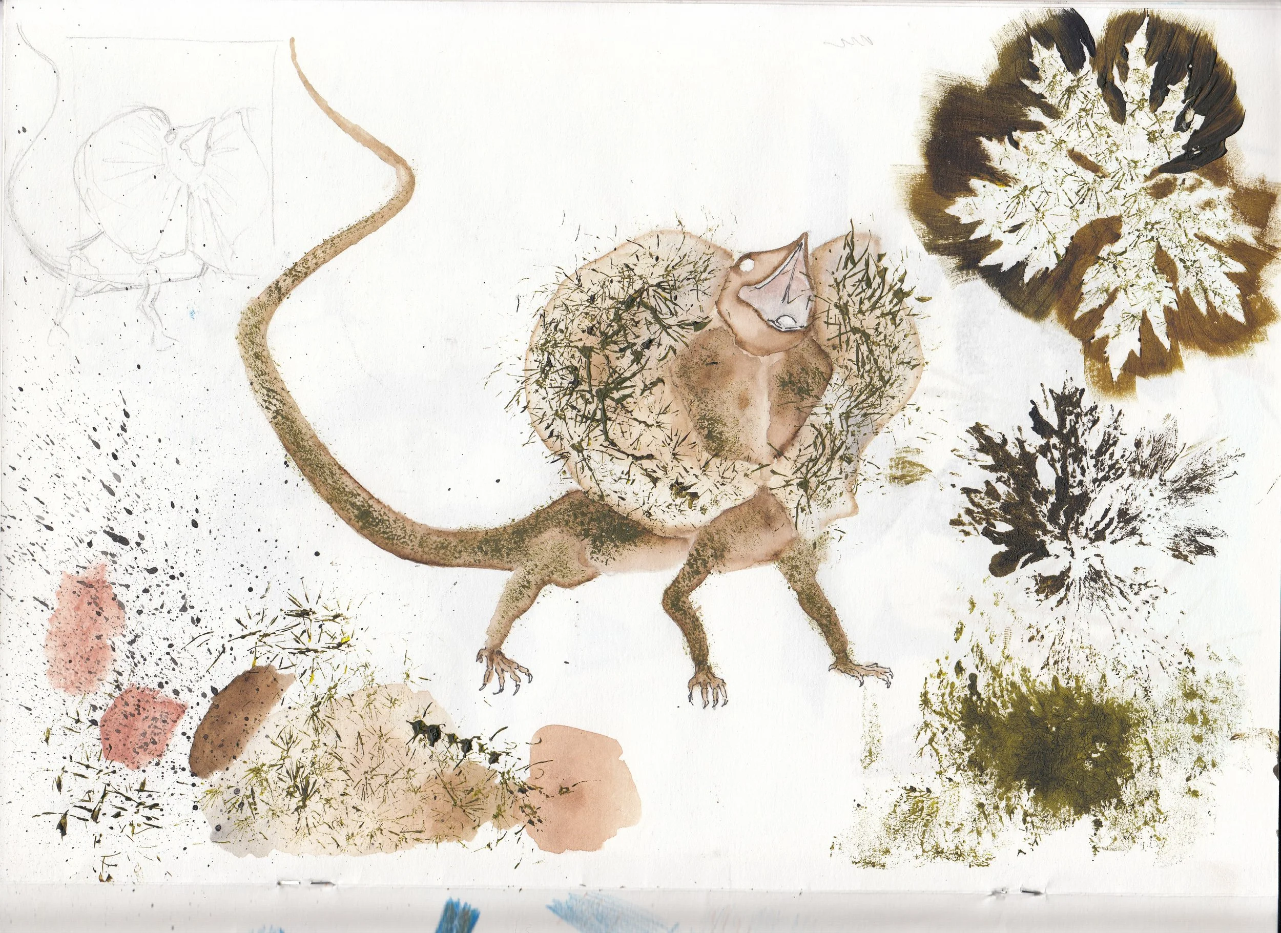 IMG_20220117_0013 (2).jpg