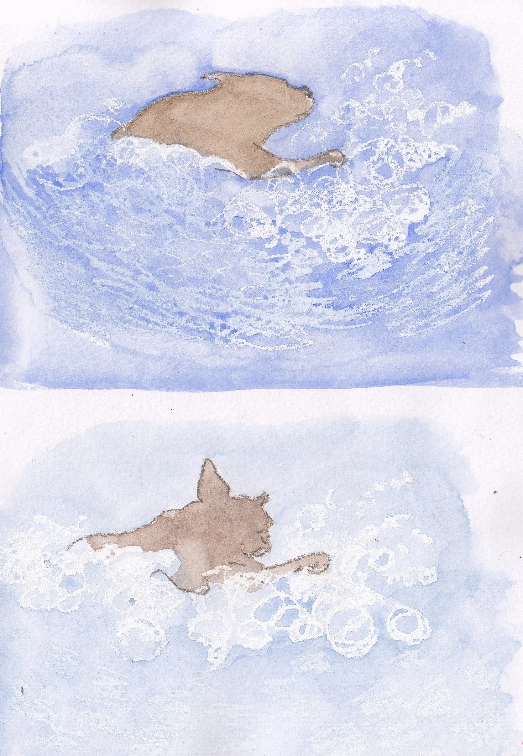 IMG_20220314_0002 (2).jpg