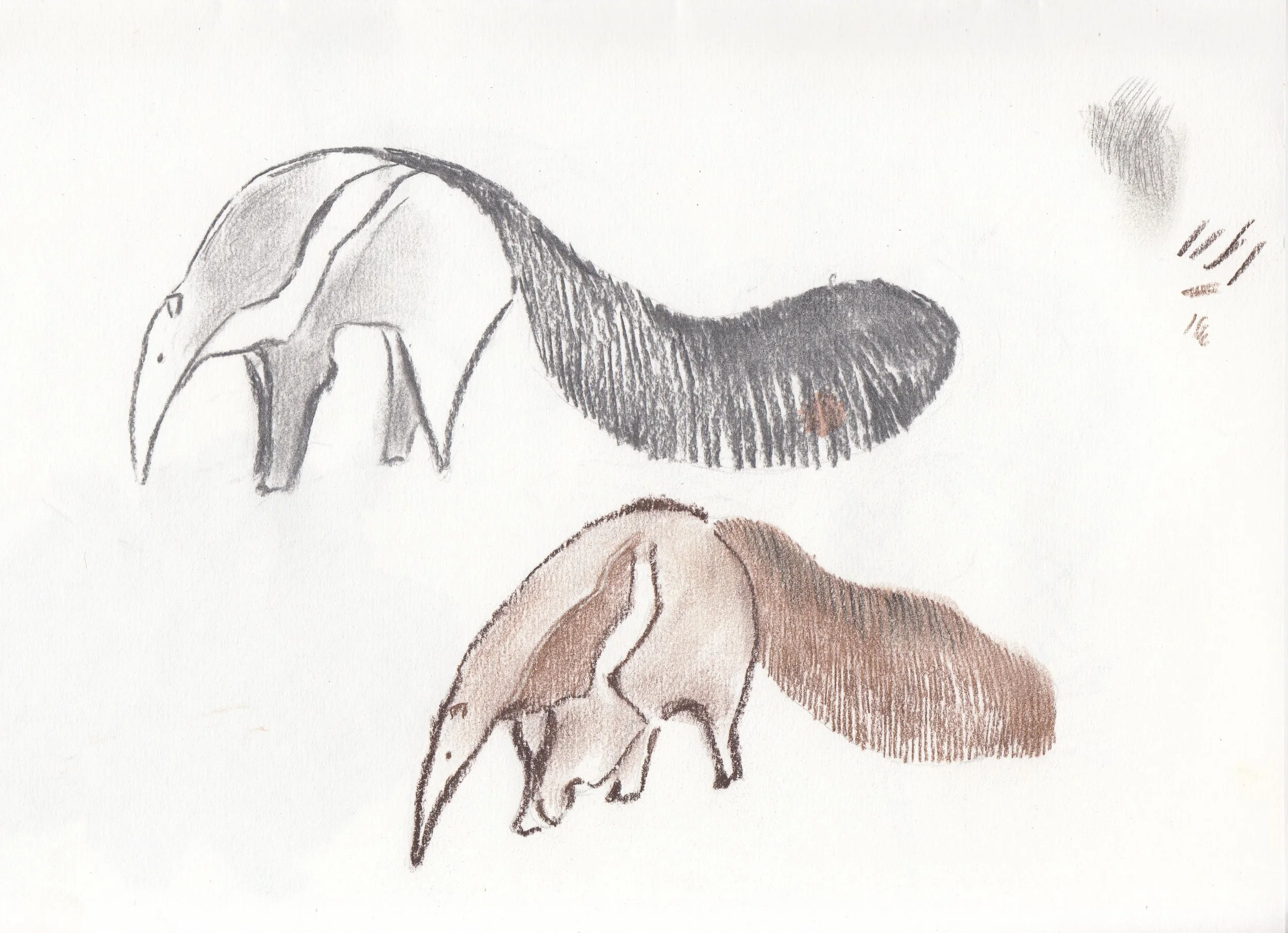 IMG_20220117_0010 (2).jpg