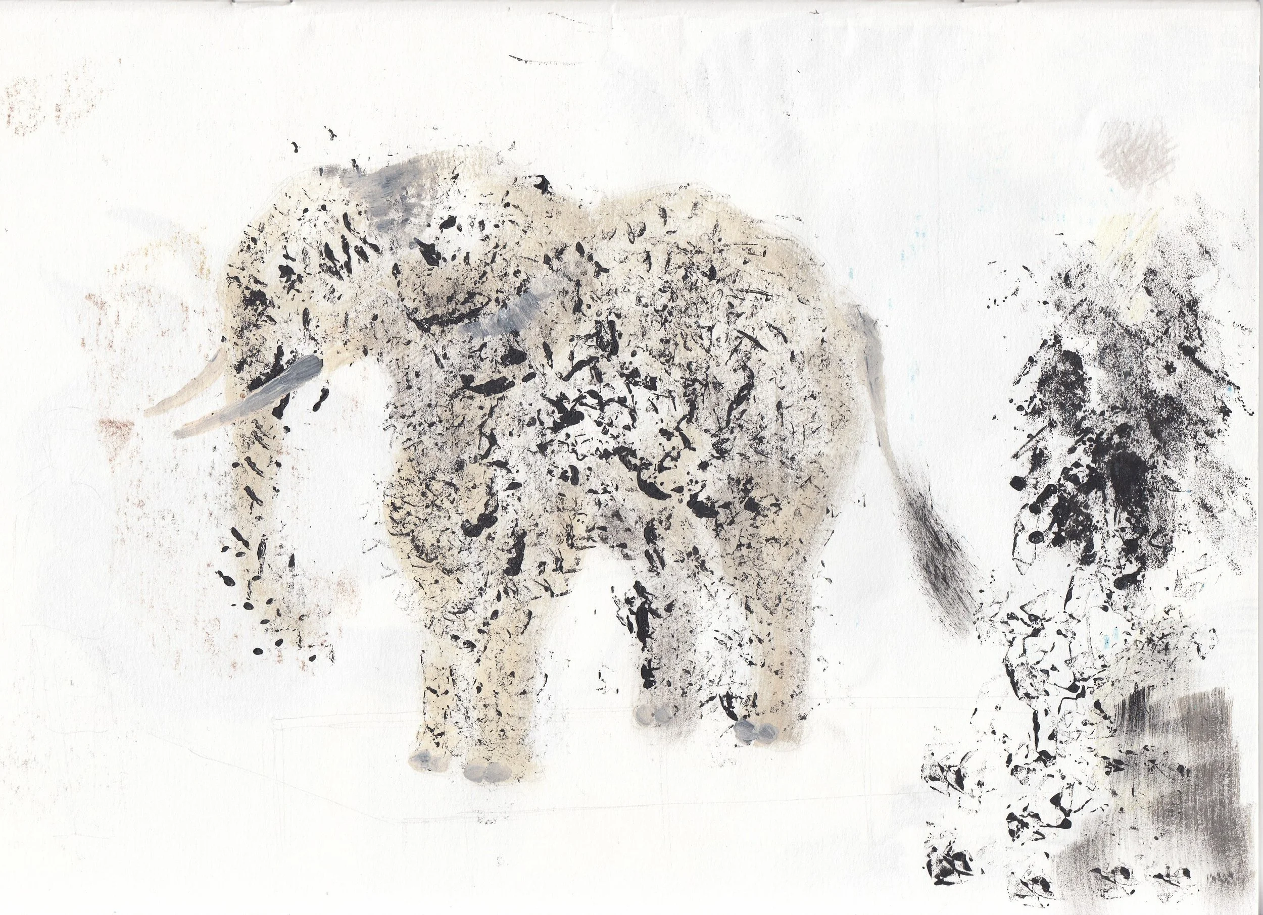 IMG_20220117_0024 (2).jpg